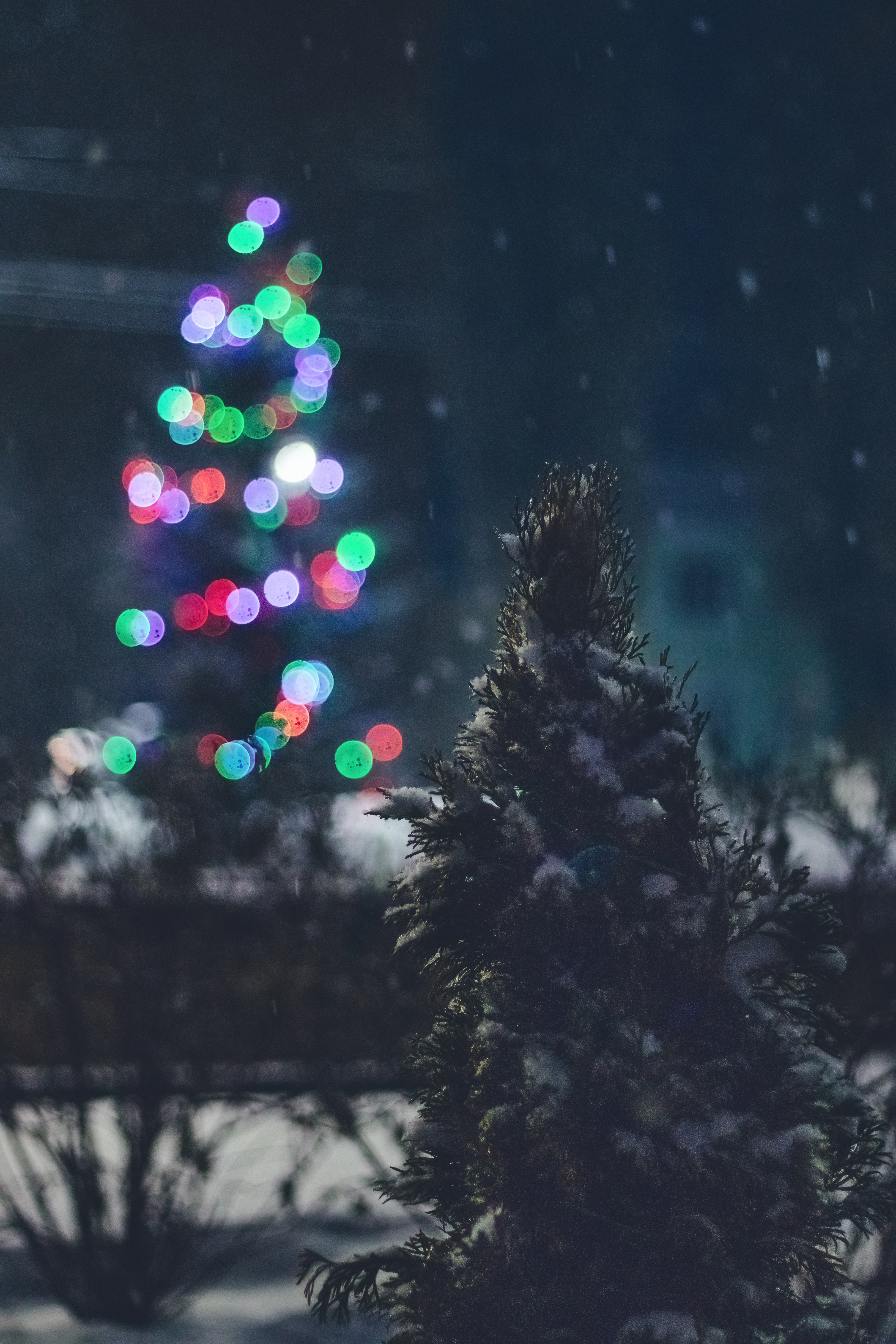 Laden Sie das Feiertage, Übernachtung, Schnee, Die Lichter, Lichter, Blendung, Weihnachtsbaum-Bild kostenlos auf Ihren PC-Desktop herunter