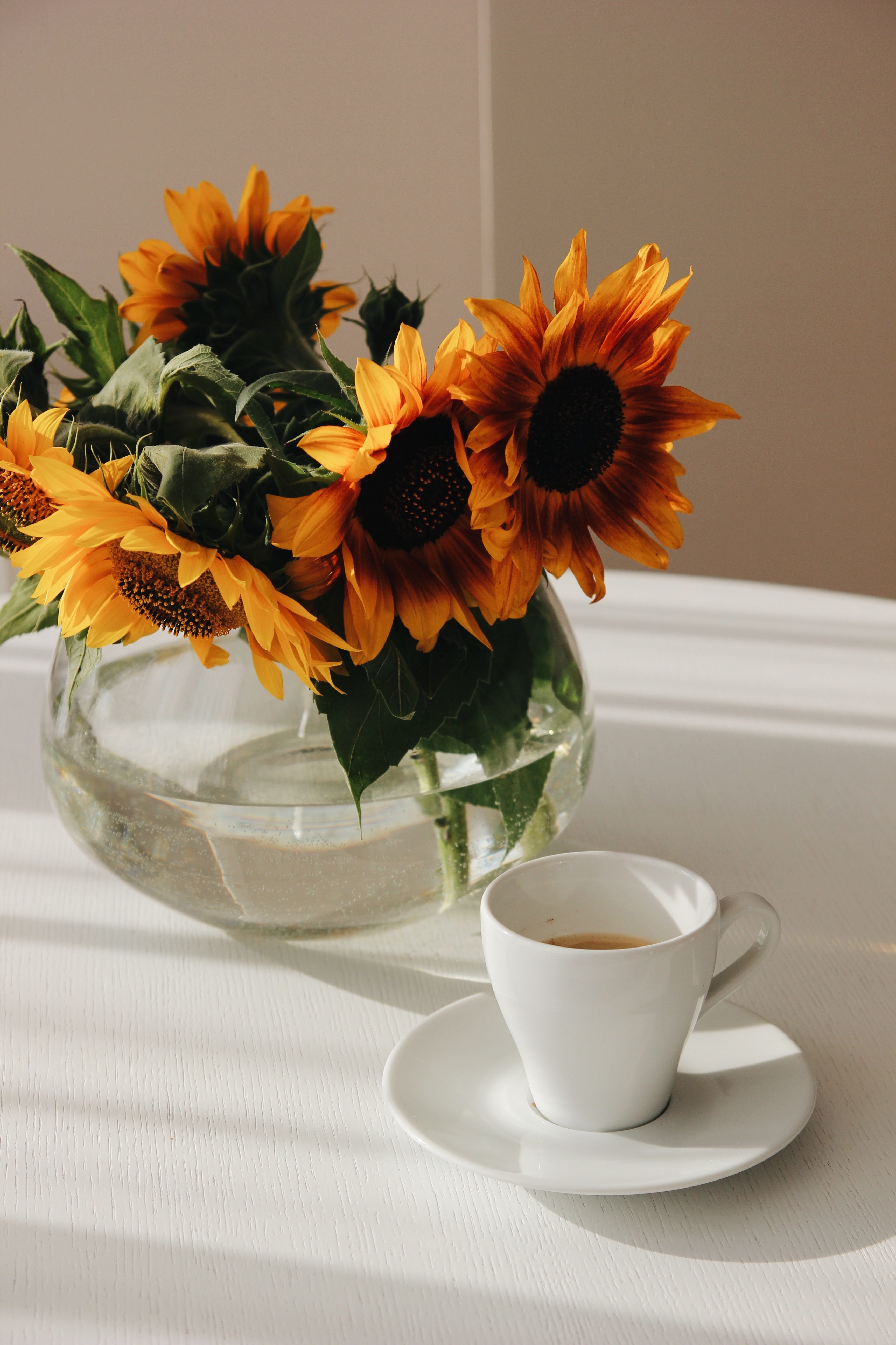 cup, flowers, sunflowers, bouquet, table, vase