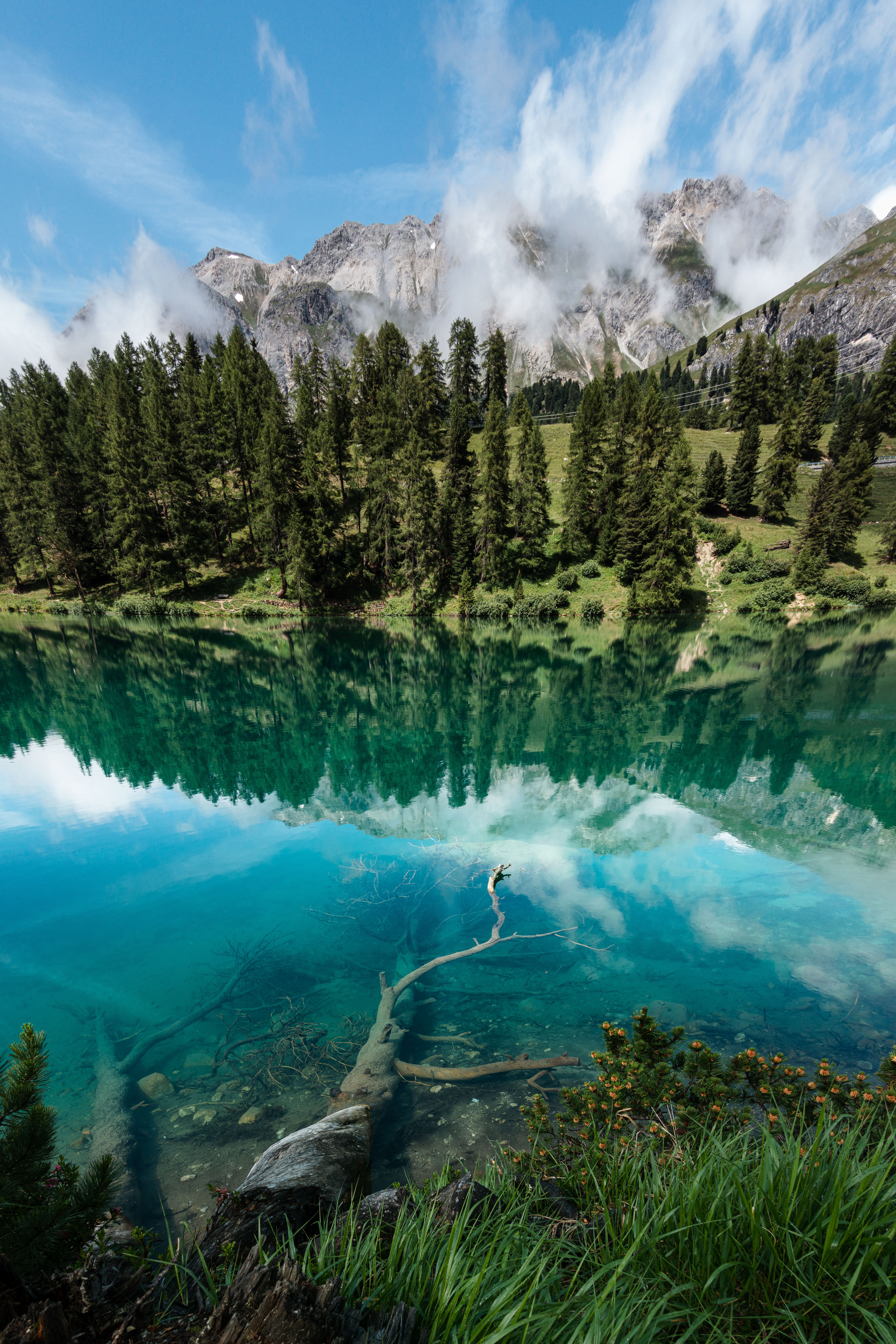 trees, nature, mountains, lake, reflection, shore, bank HD wallpaper