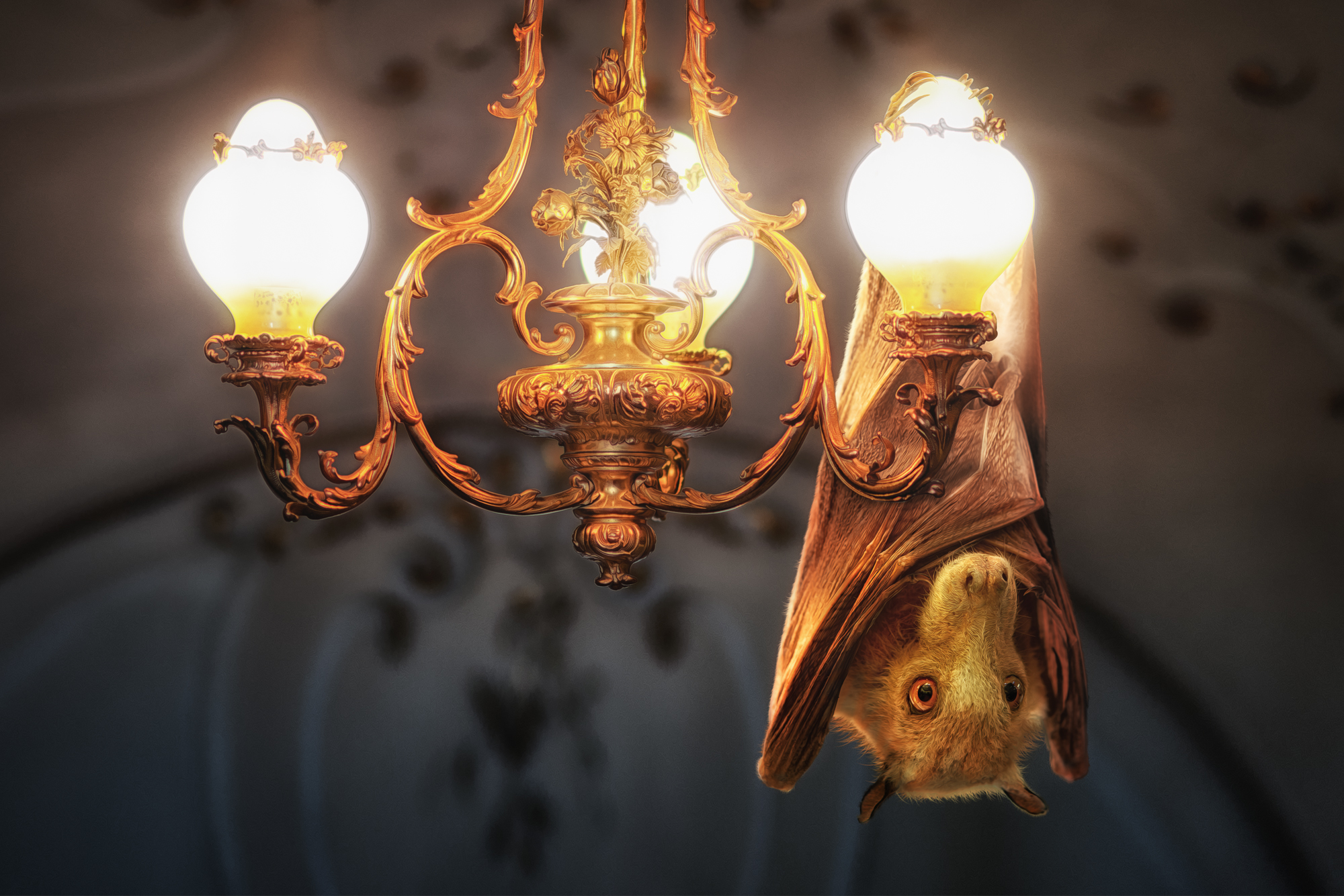 light, manipulation, chandelier, bat, photography High Definition image