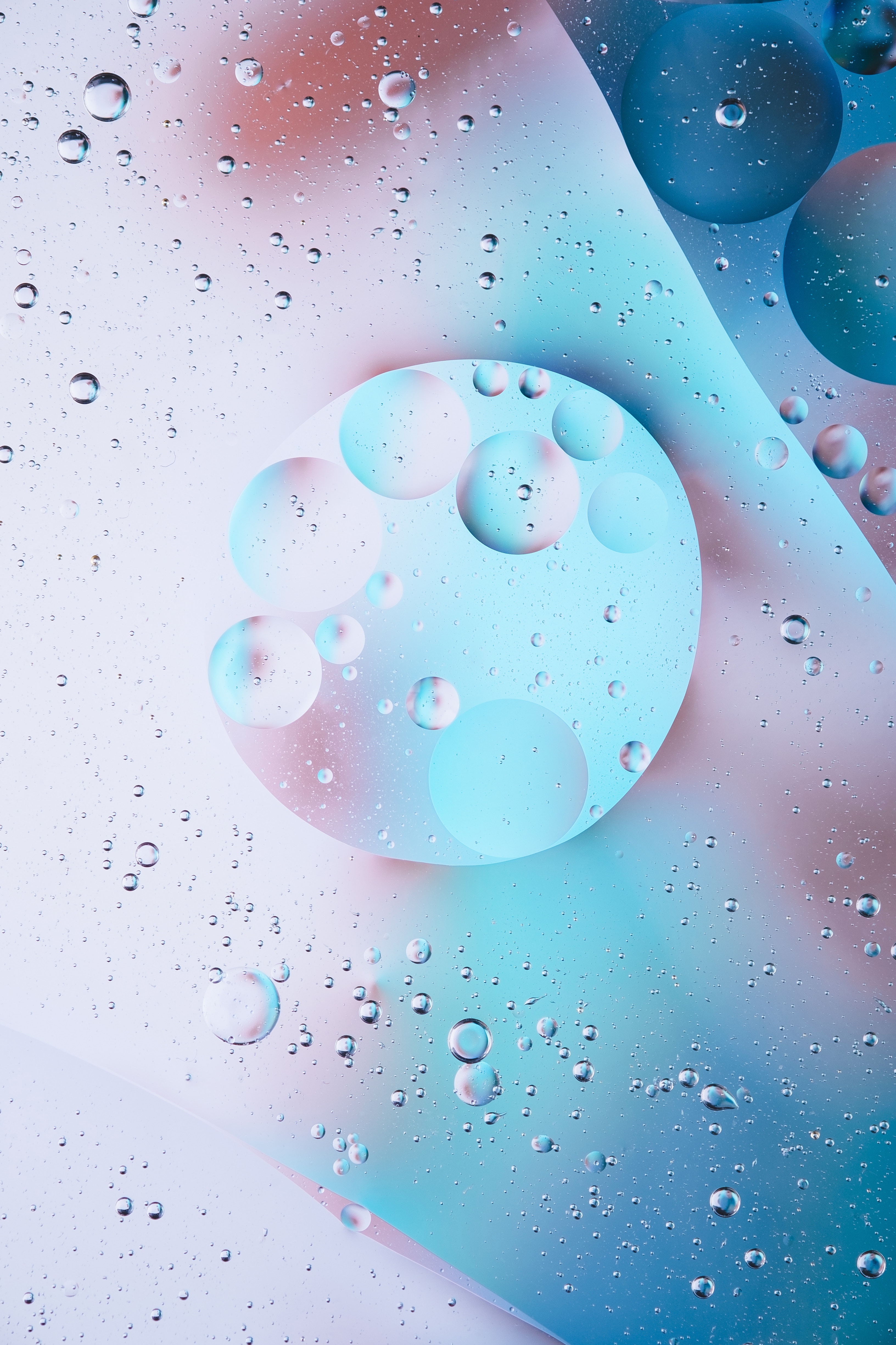 bubbles, light, macro, circles, light coloured 1080p