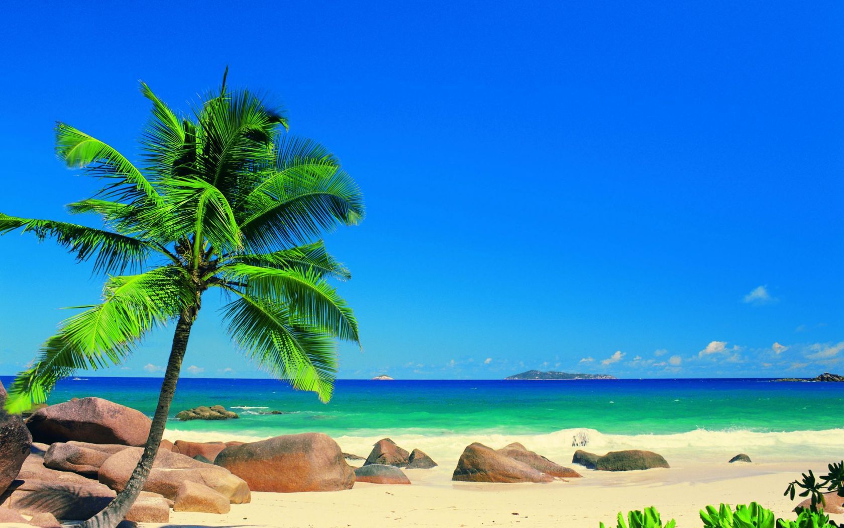 16660 Hintergrundbild herunterladen strand, landschaft, sea, palms, blau - Bildschirmschoner und Bilder kostenlos