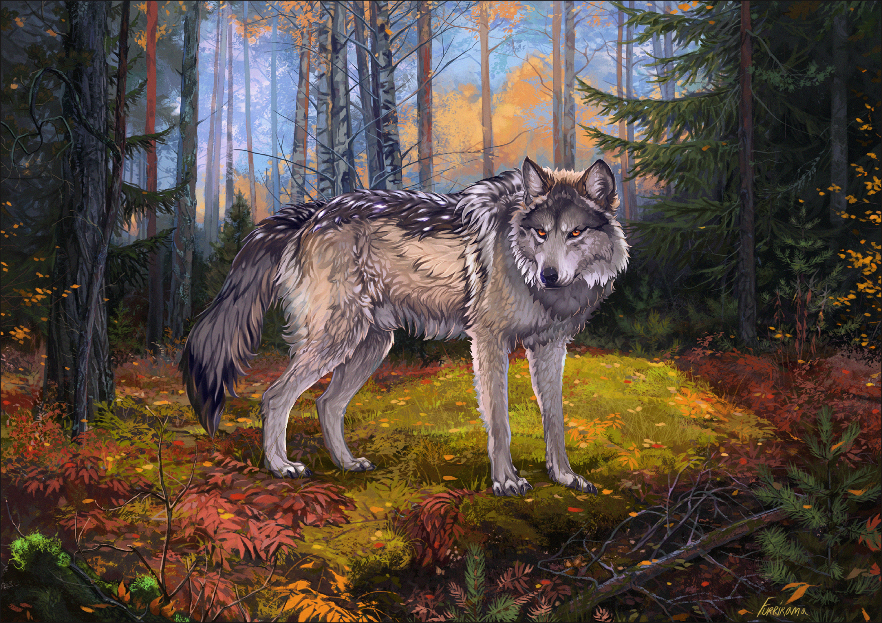 129870 завантажити шпалери вовк, арт, сірий, ліс, дика природа, дикої природи - заставки і картинки безкоштовно