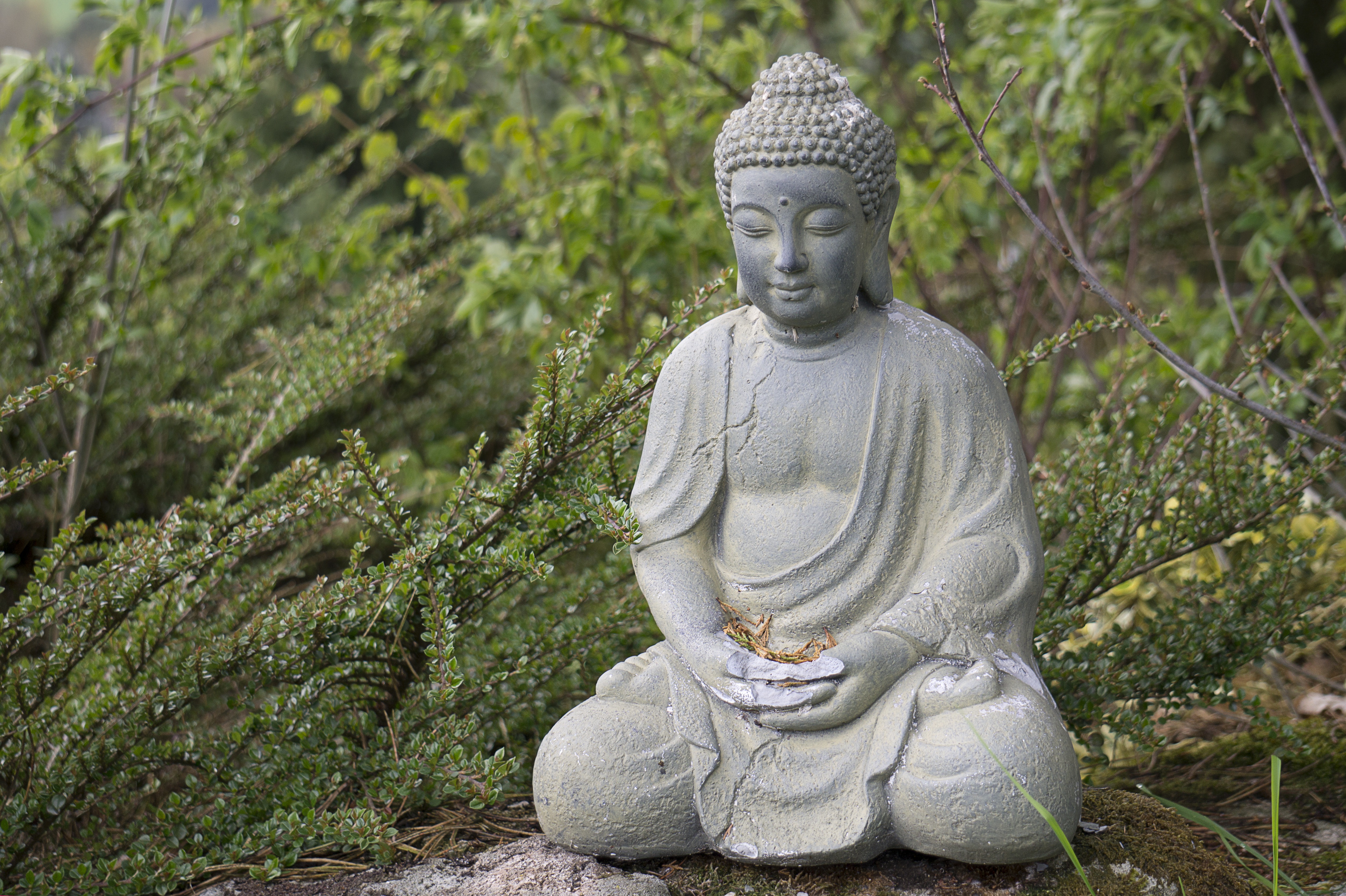 buddha, statue, religious, buddhism, sculpture for android