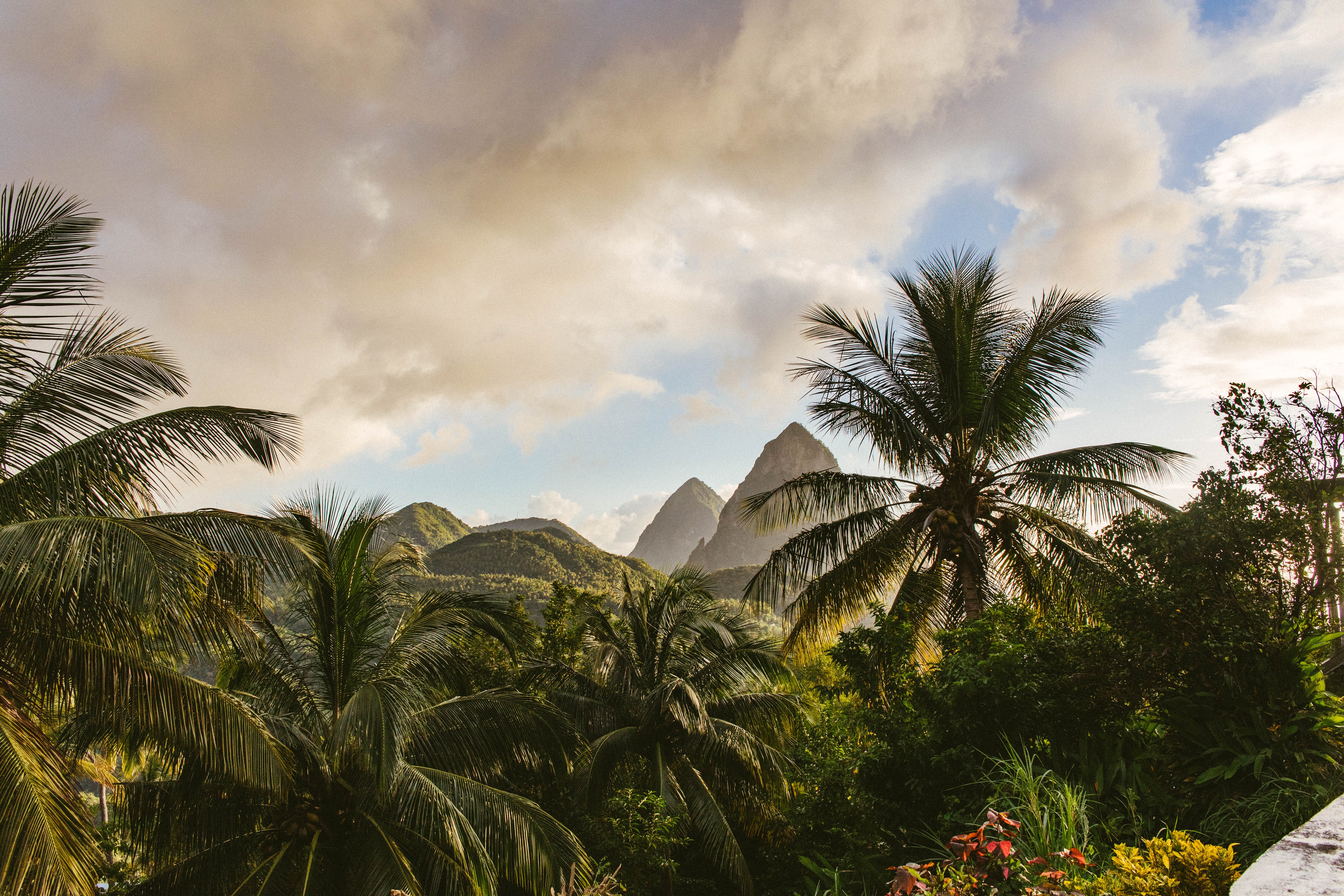 Handy-Wallpaper Landschaft, Natur, Mountains, Palms, Die Insel, Insel kostenlos herunterladen.