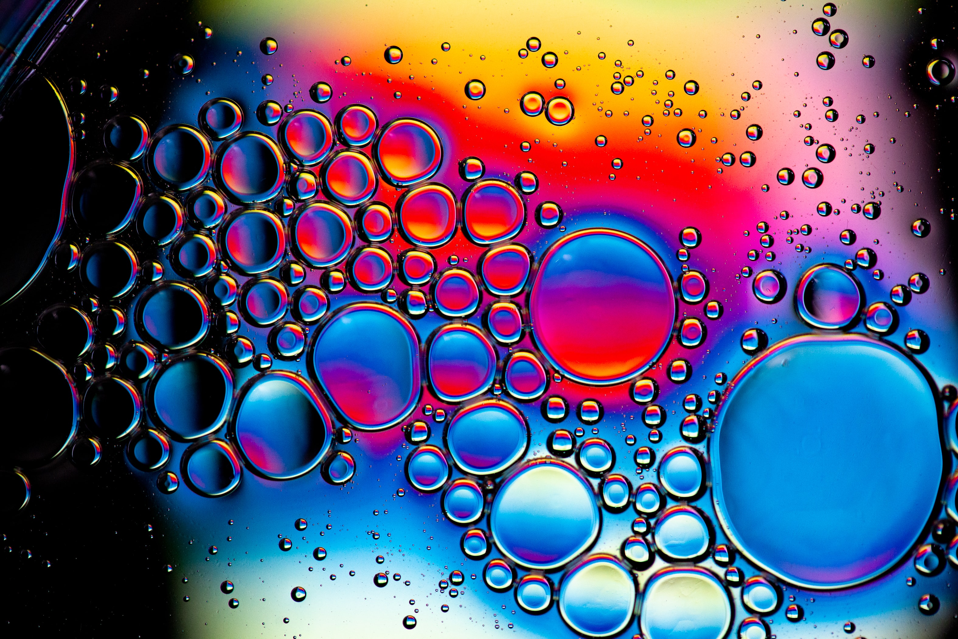 bubbles, abstract, water, form