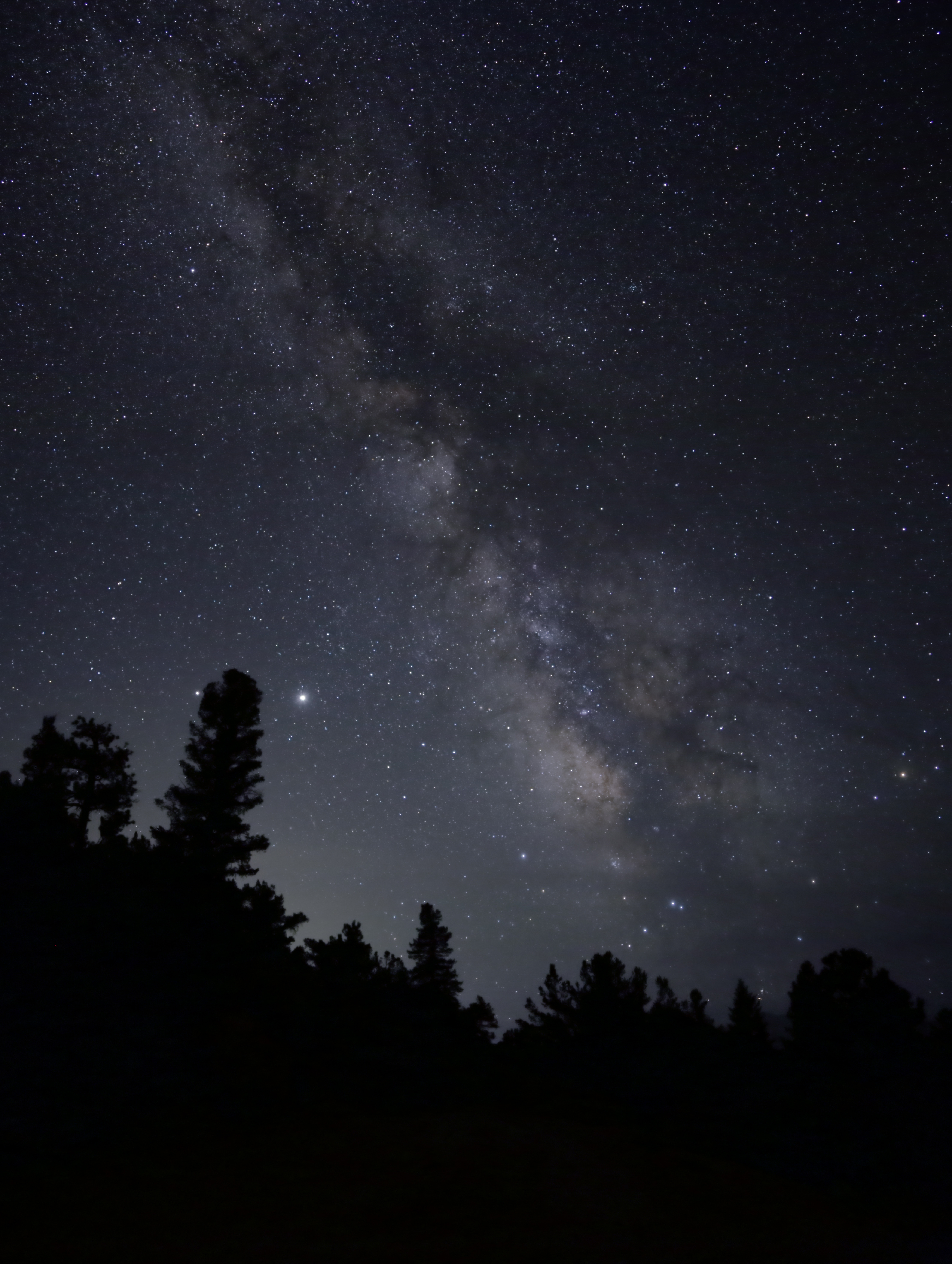 135184 Hintergrundbild herunterladen sterne, bäume, dunkel, silhouette, nebel, sternenhimmel - Bildschirmschoner und Bilder kostenlos
