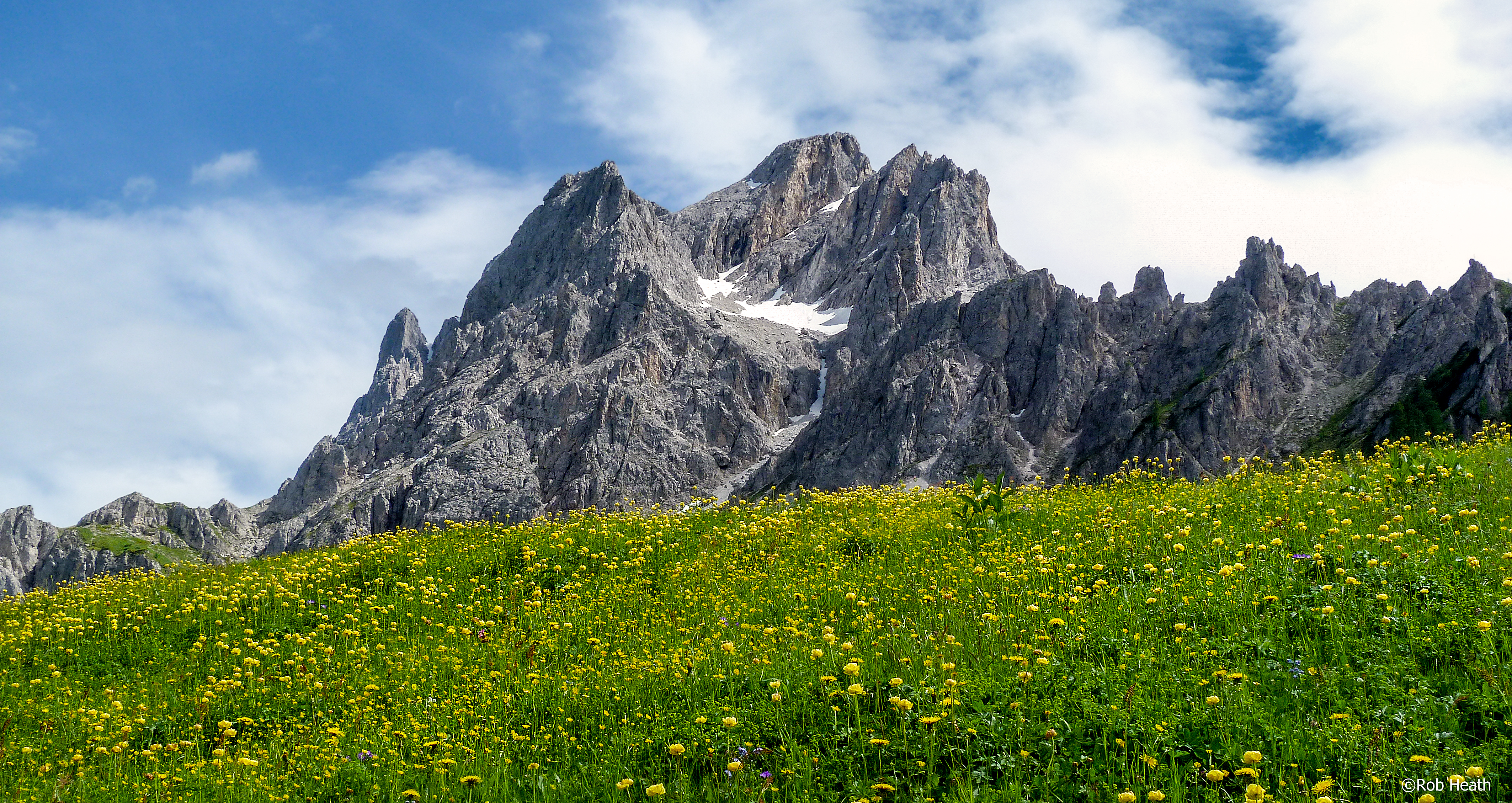 Laden Sie das Feld, Natur, Blumen, Sky, Mountains, Felsen, Die Steine-Bild kostenlos auf Ihren PC-Desktop herunter