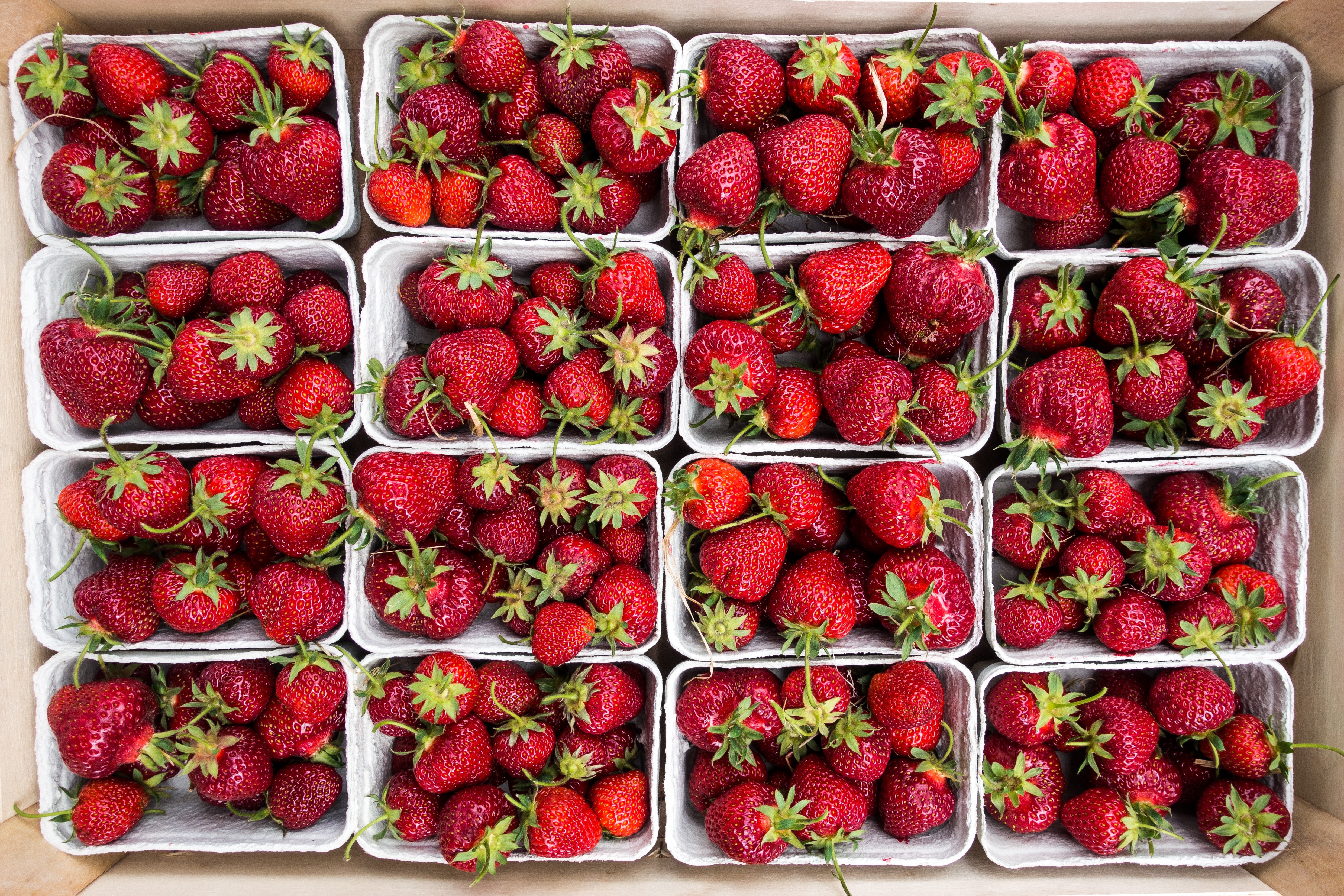 131634 Bildschirmschoner und Hintergrundbilder Die Ernte auf Ihrem Telefon. Laden Sie berries, erdbeere, lebensmittel, ernte Bilder kostenlos herunter