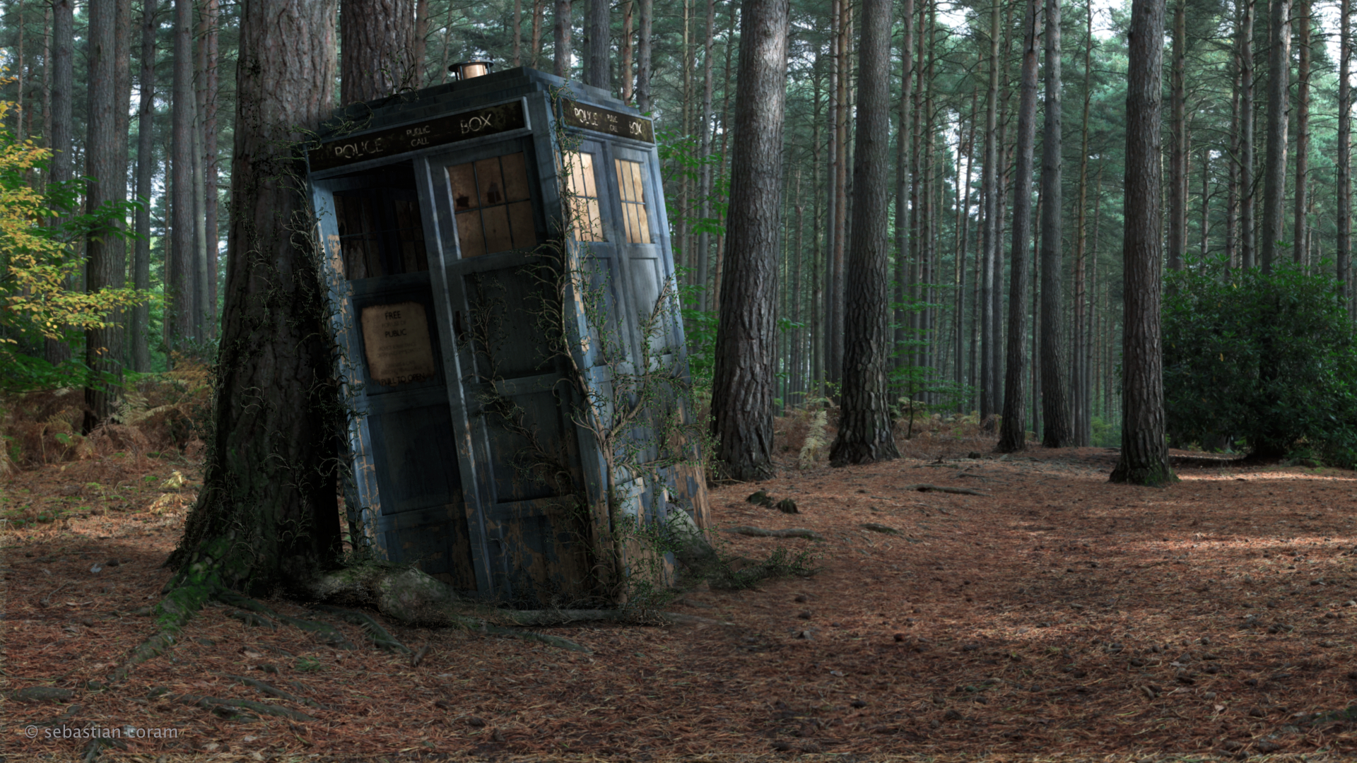 forest, doctor who, tv show, tardis