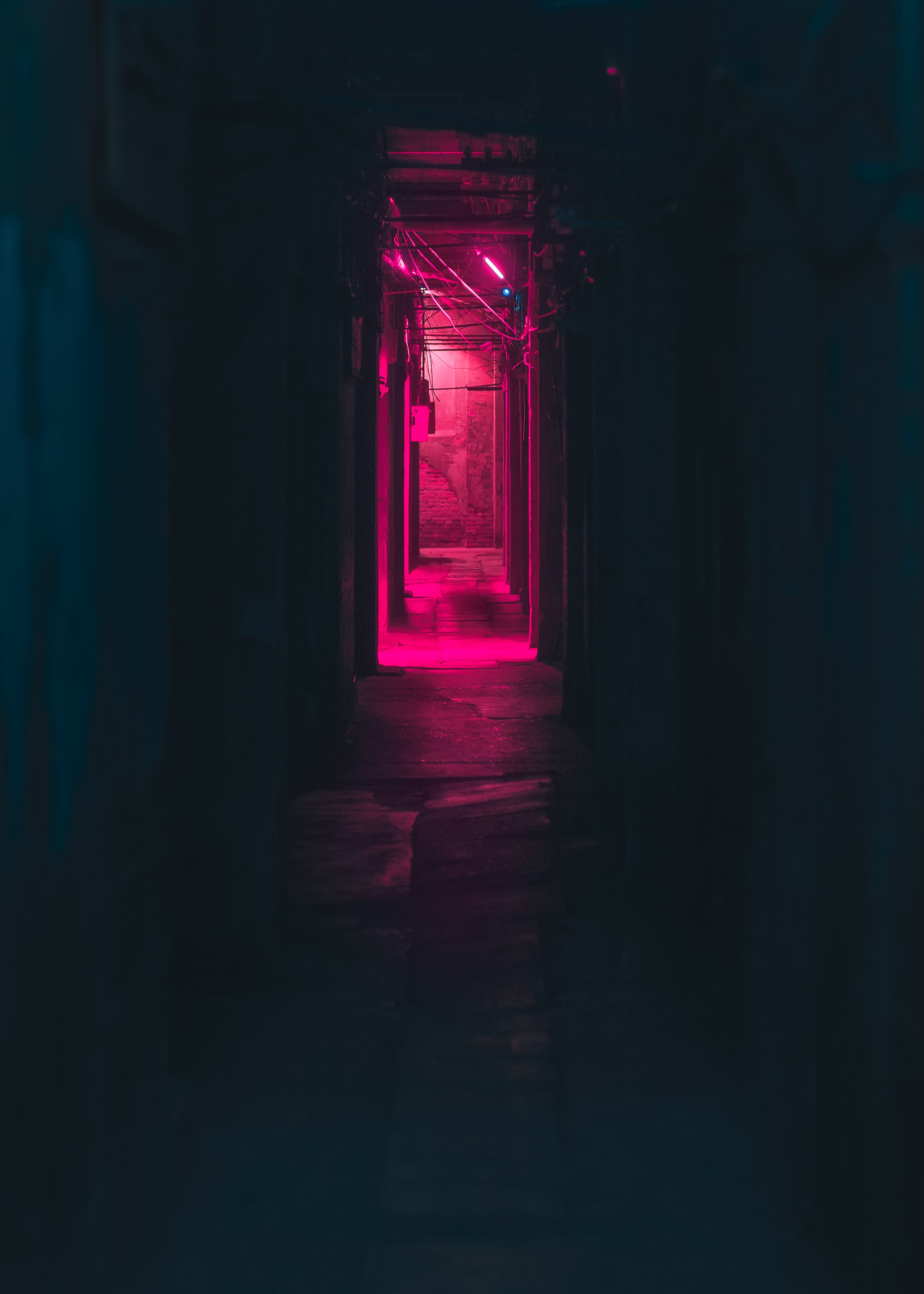 corridor, pink, neon, dark, shine, light QHD