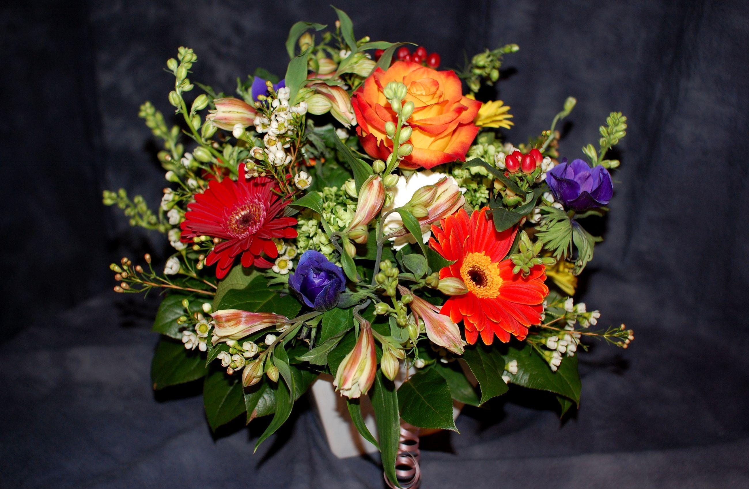 flowers, roses, gerberas, registration, typography, alstroemeria, bouquet, composition High Definition image