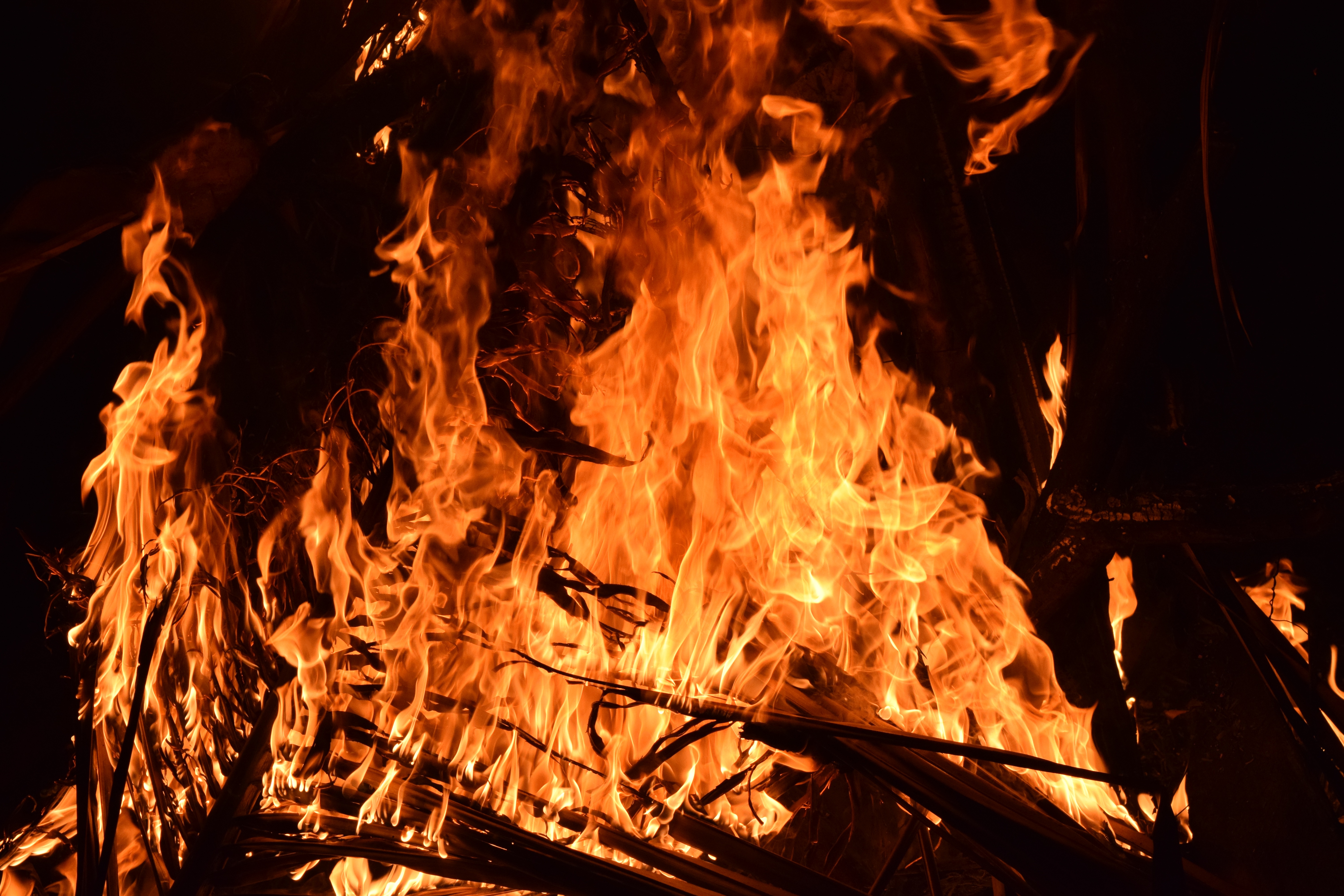 fire, bonfire, dark, flame, brushwood mobile wallpaper