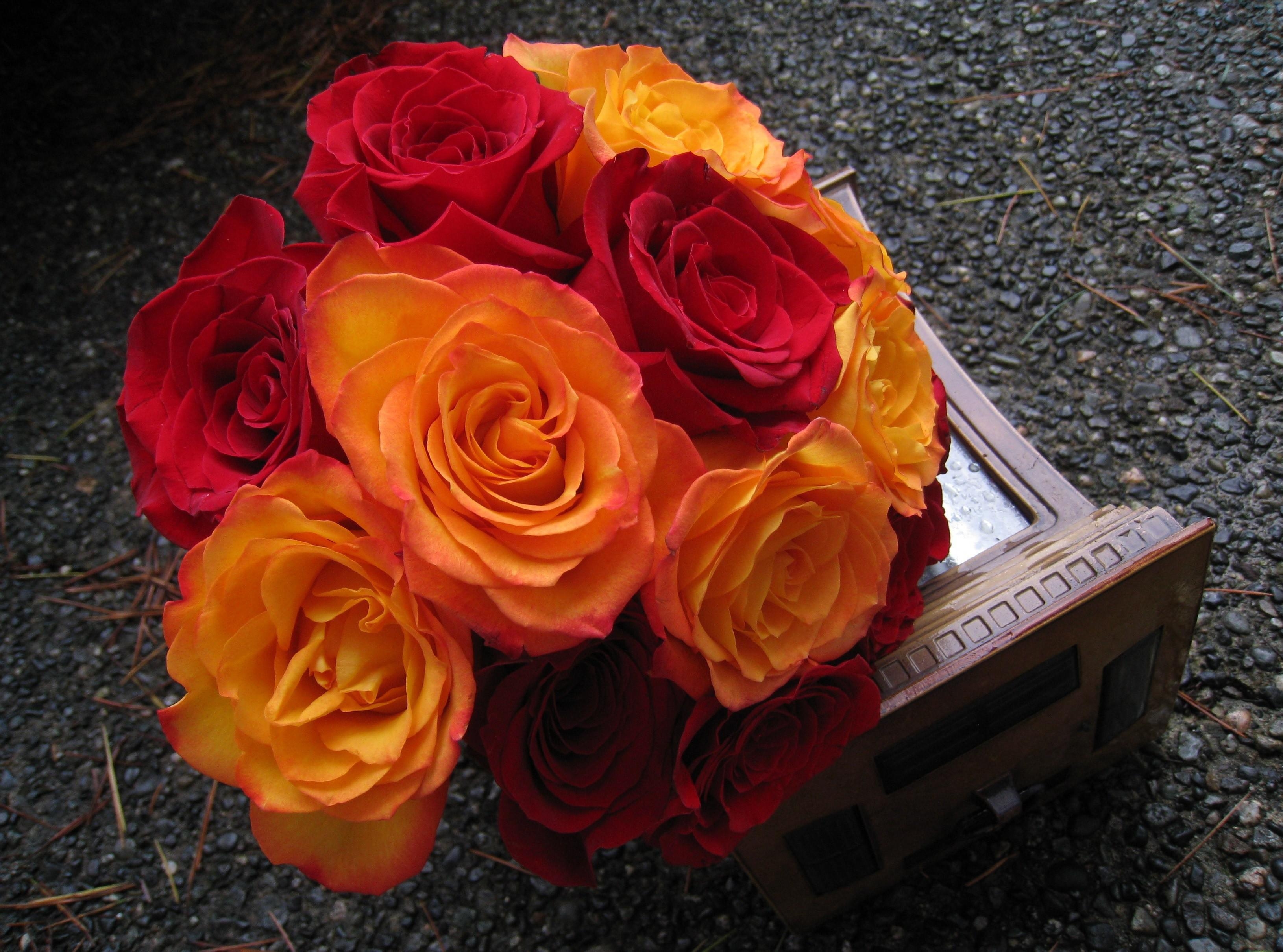 Laden Sie das Blumen, Stones, Roses, Schönheit, Strauß, Bouquet, Knospen-Bild kostenlos auf Ihren PC-Desktop herunter