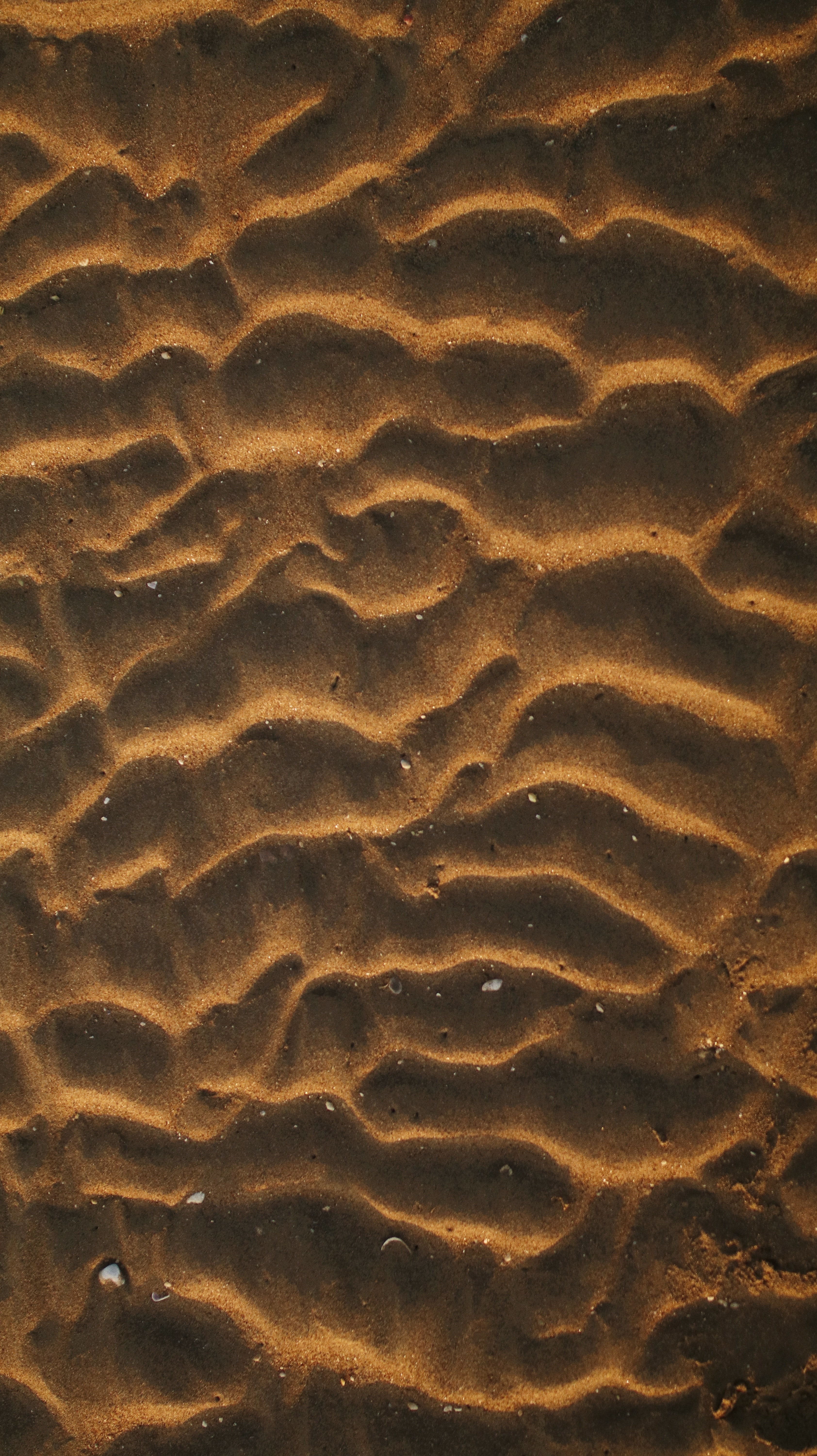 Handy-Wallpaper Sand, Wüste, Shells, Makro, Wellig kostenlos herunterladen.