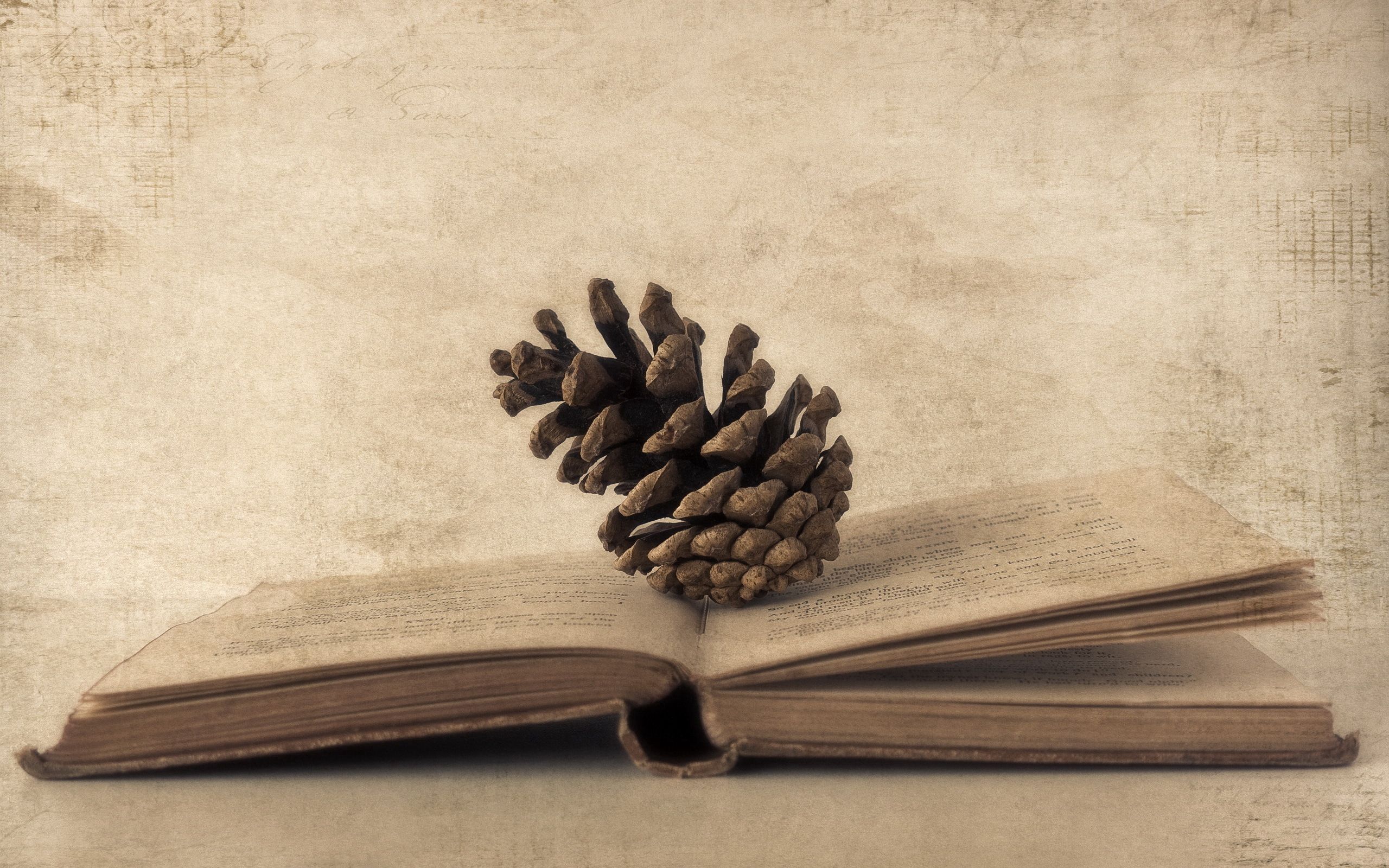 cones, book, miscellanea, miscellaneous, paper, old photo