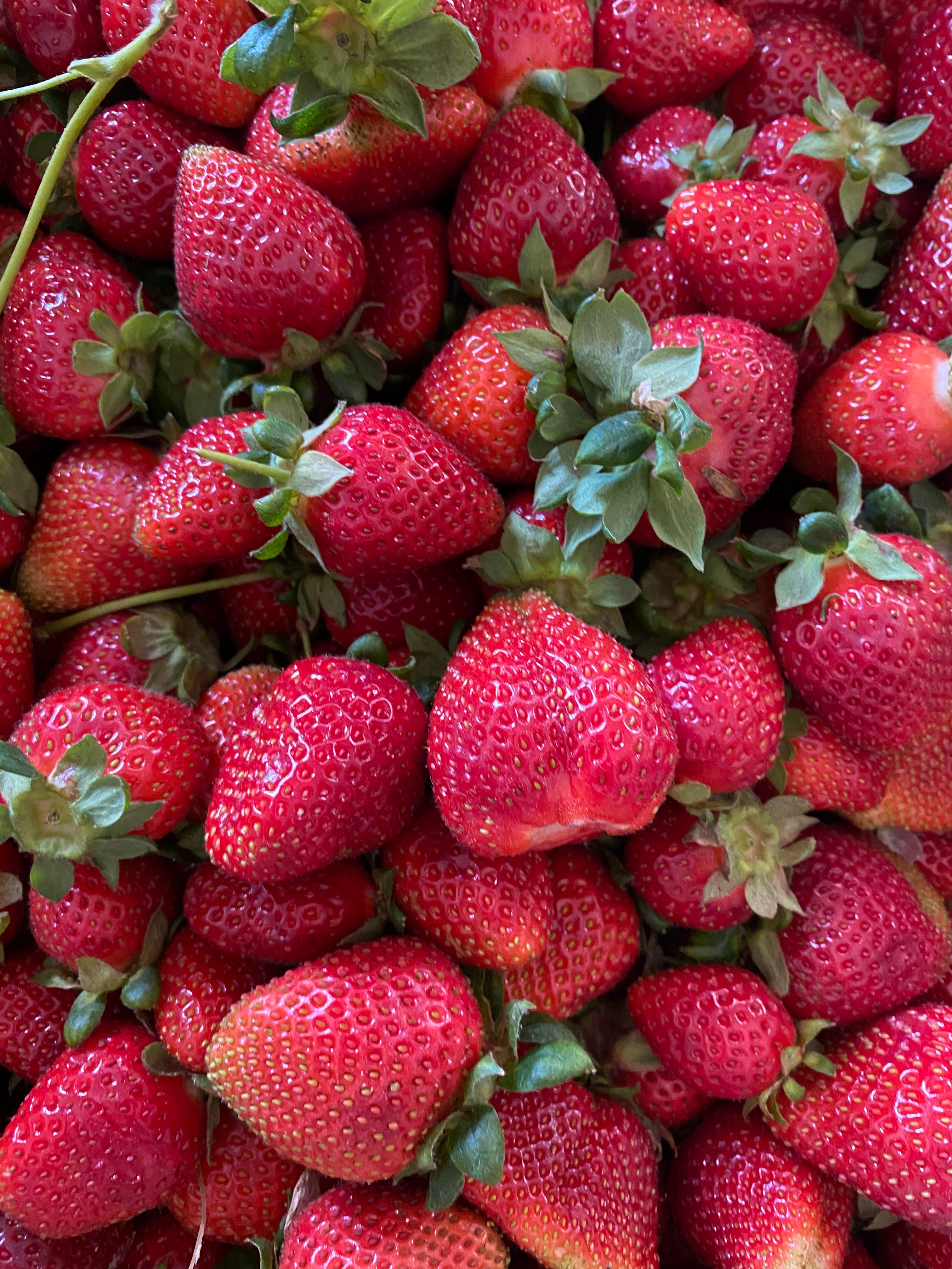 Laden Sie das Obst, Lebensmittel, Erdbeere, Beere-Bild kostenlos auf Ihren PC-Desktop herunter