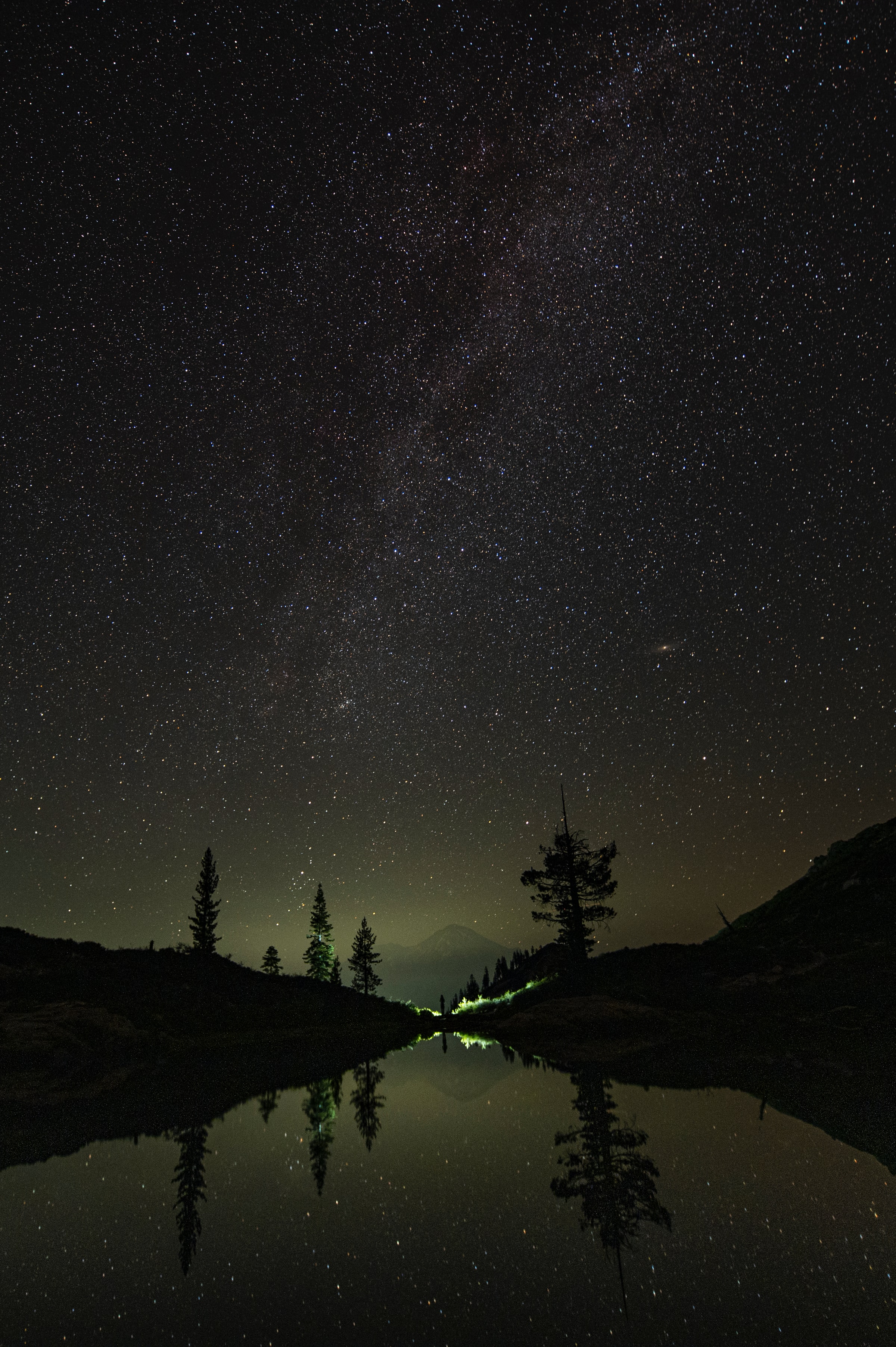 trees, stars, nature, night, mountain, reflection HD wallpaper
