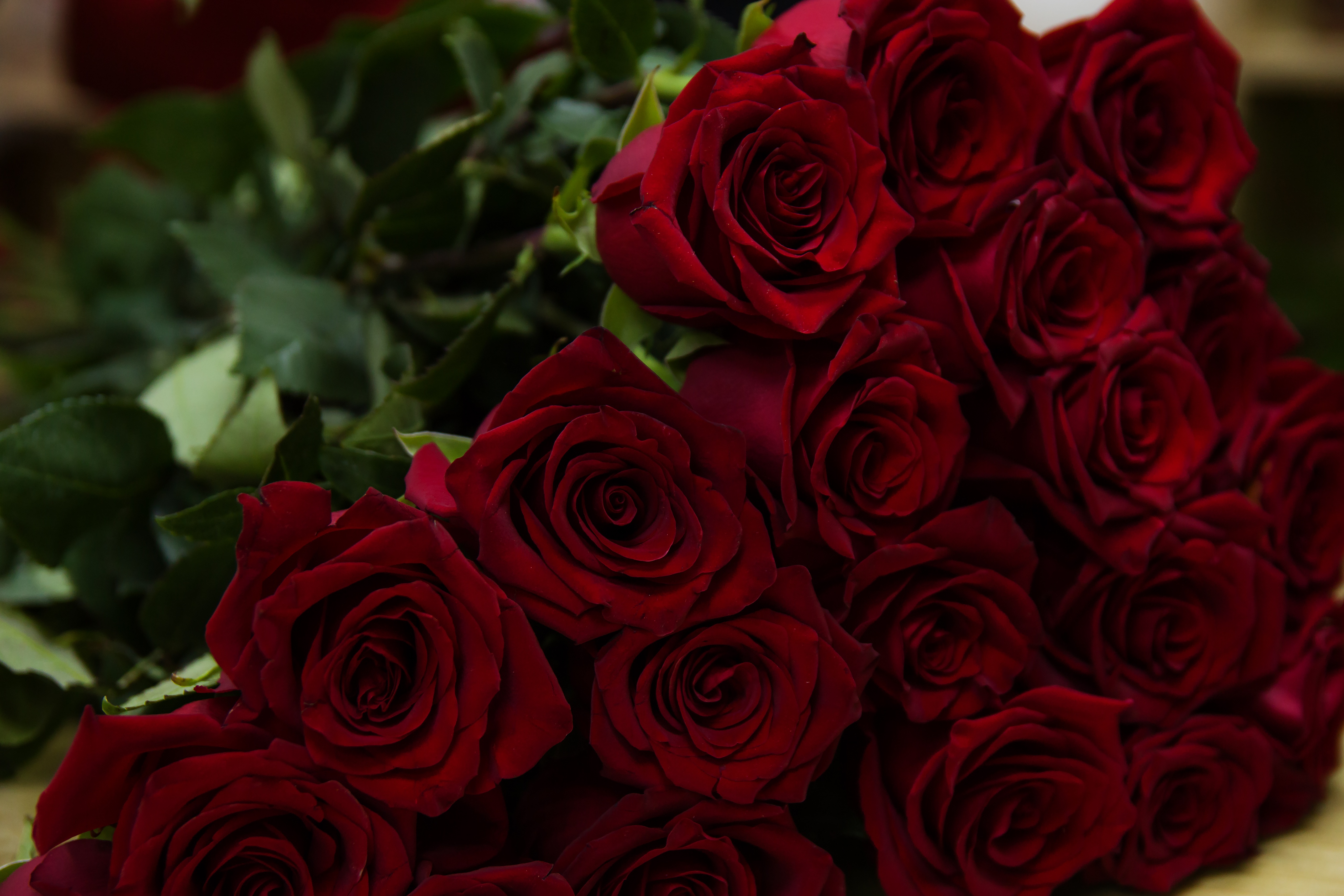 bouquet, flowers, roses, red mobile wallpaper