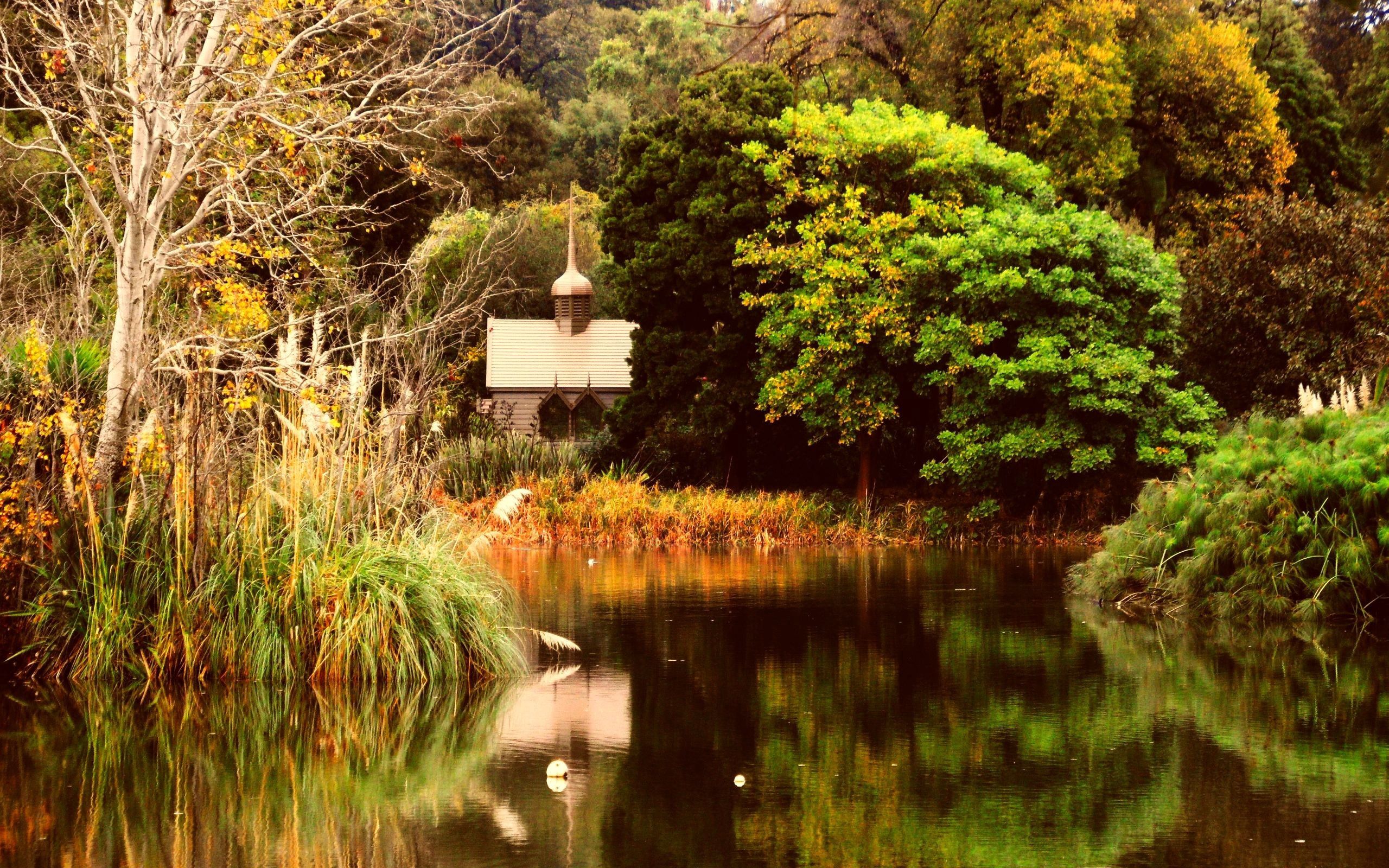 155967 Protetores de tela e papéis de parede Outono em seu telefone. Baixe lago, lagoa, árvores, natureza fotos gratuitamente