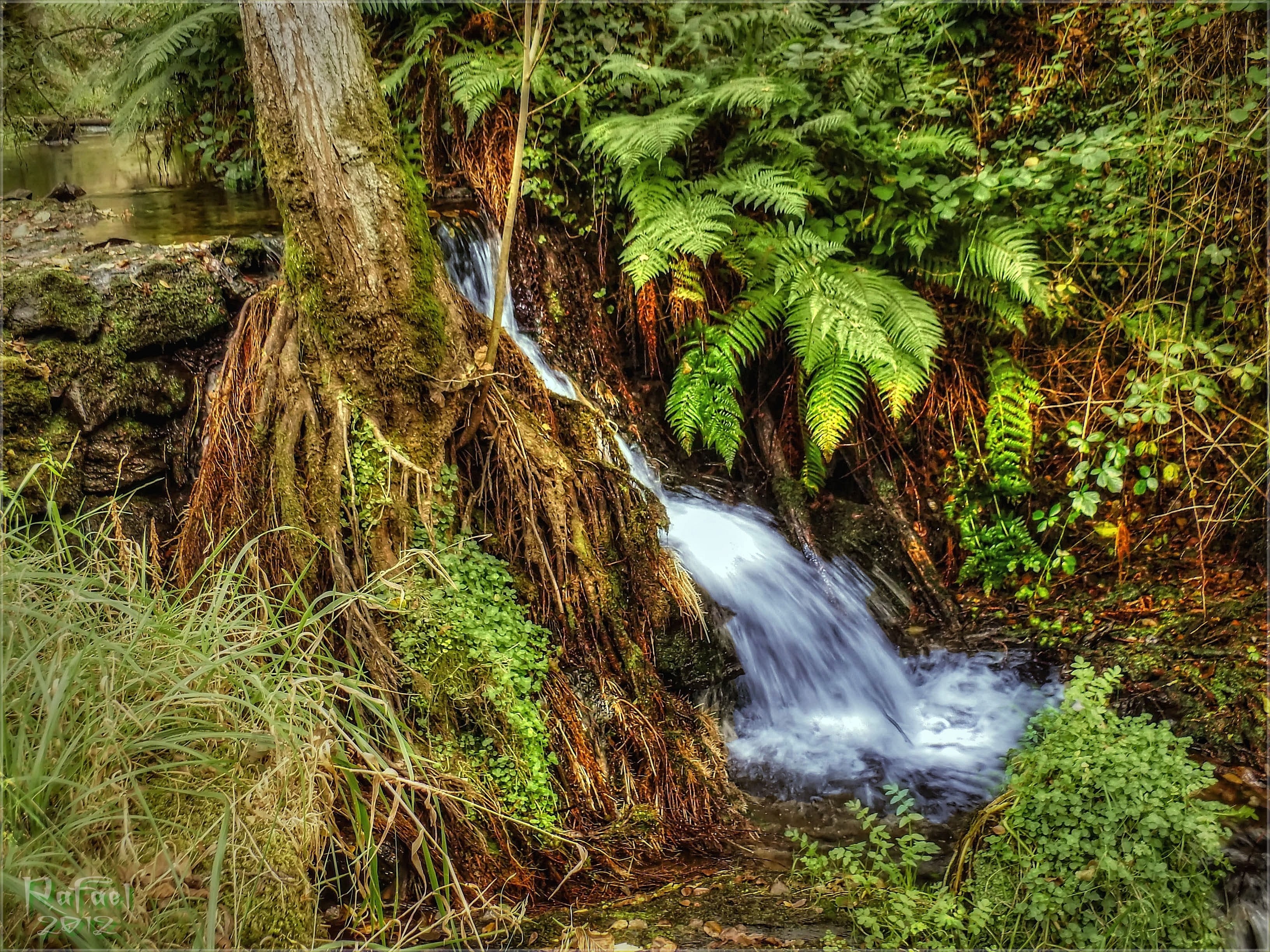 Laden Sie das Natur, Fluss, Bach, Brook-Bild kostenlos auf Ihren PC-Desktop herunter