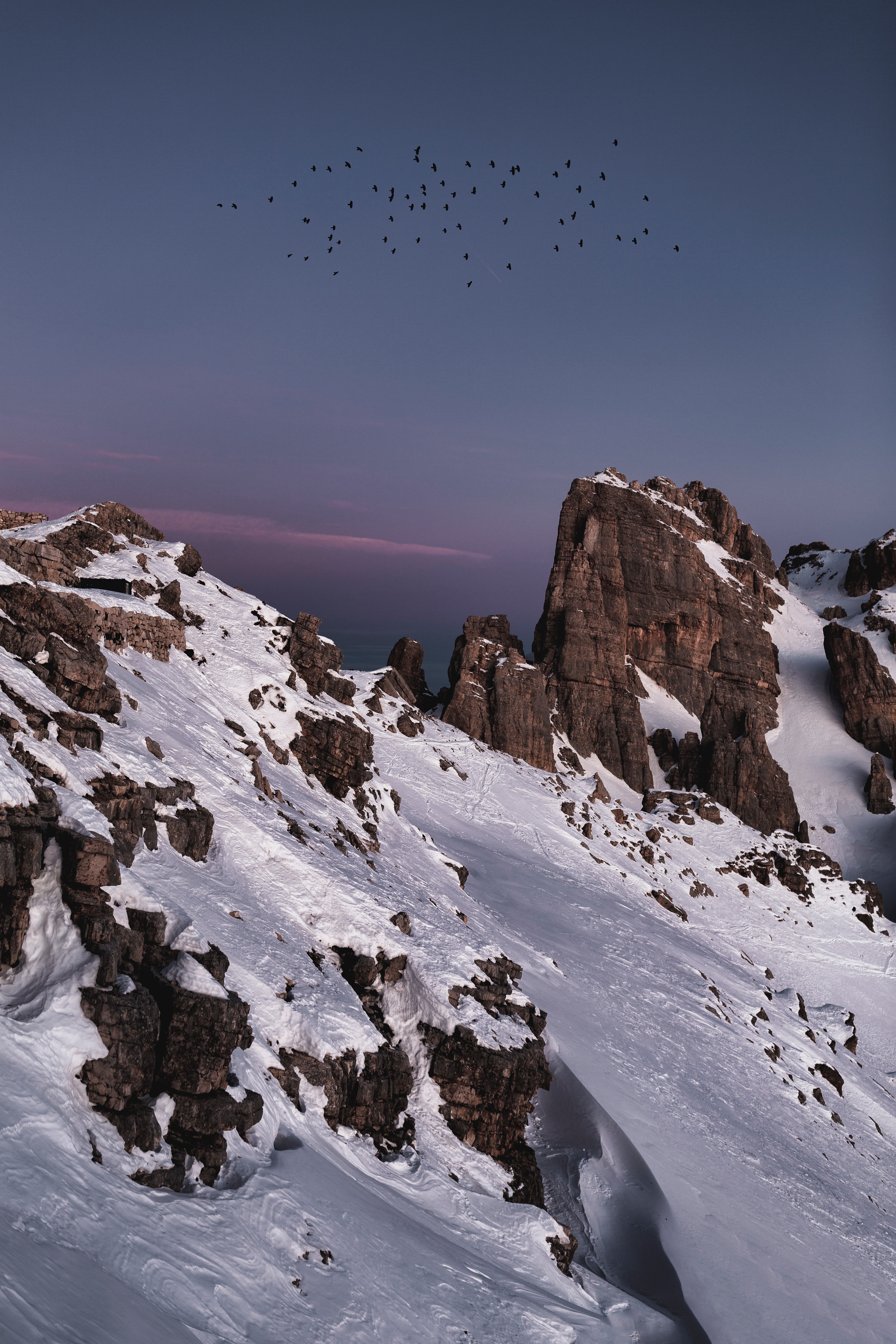 rocks, nature, birds, snow, mountain for android