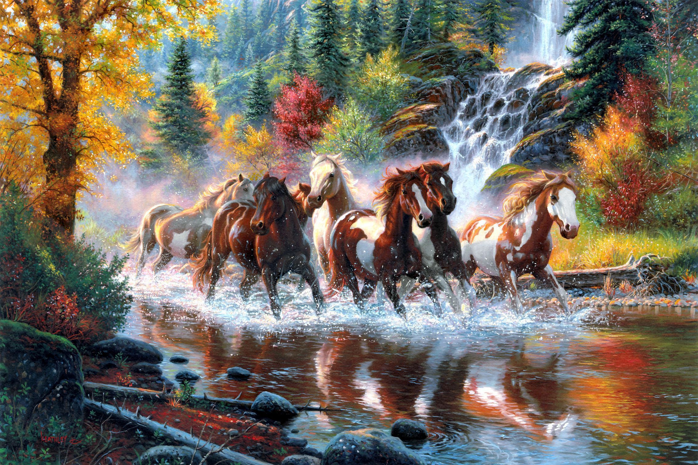 horse, stream, animal Full HD