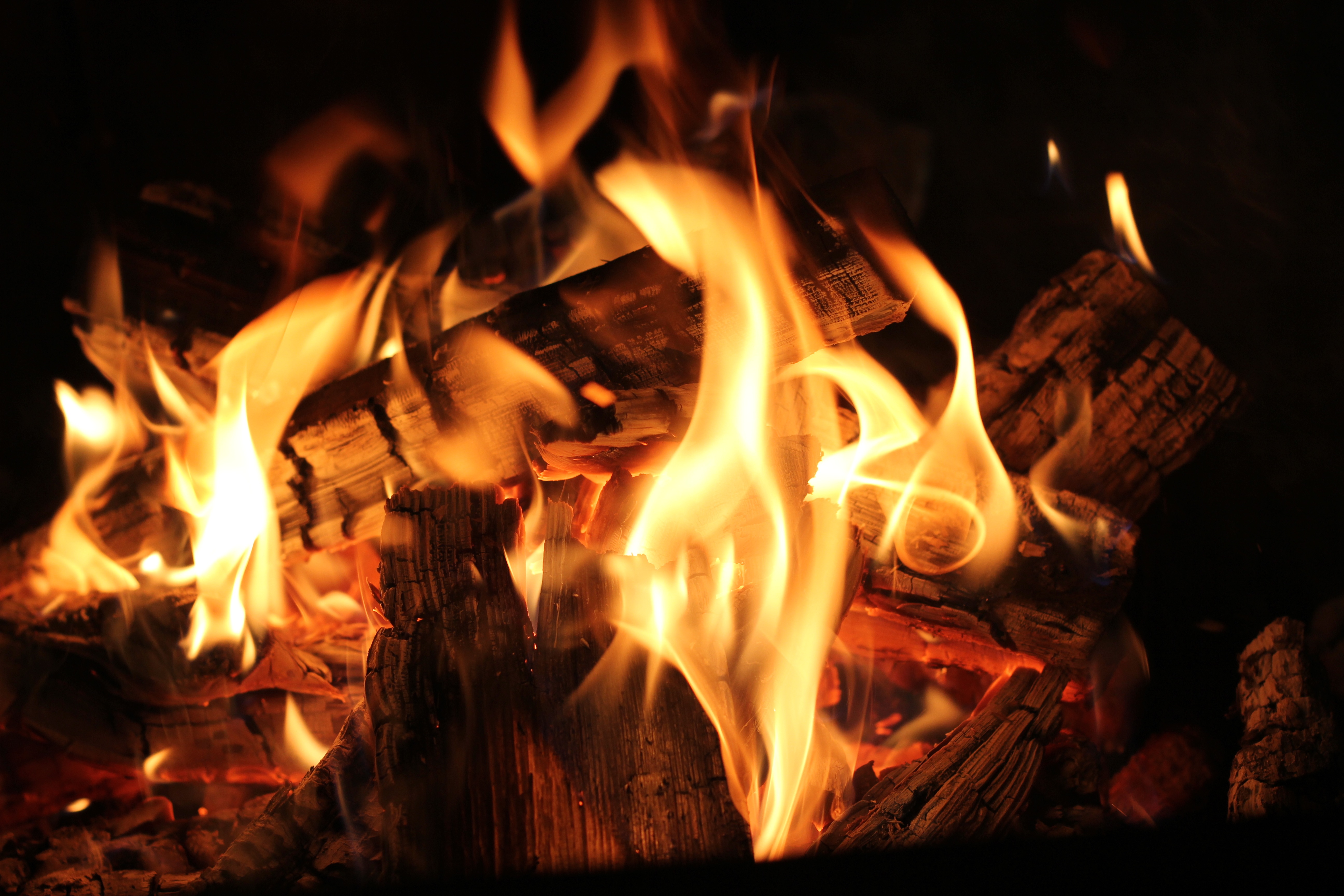 fire, bonfire, coals, flame, miscellanea, miscellaneous, firewood 4K Ultra