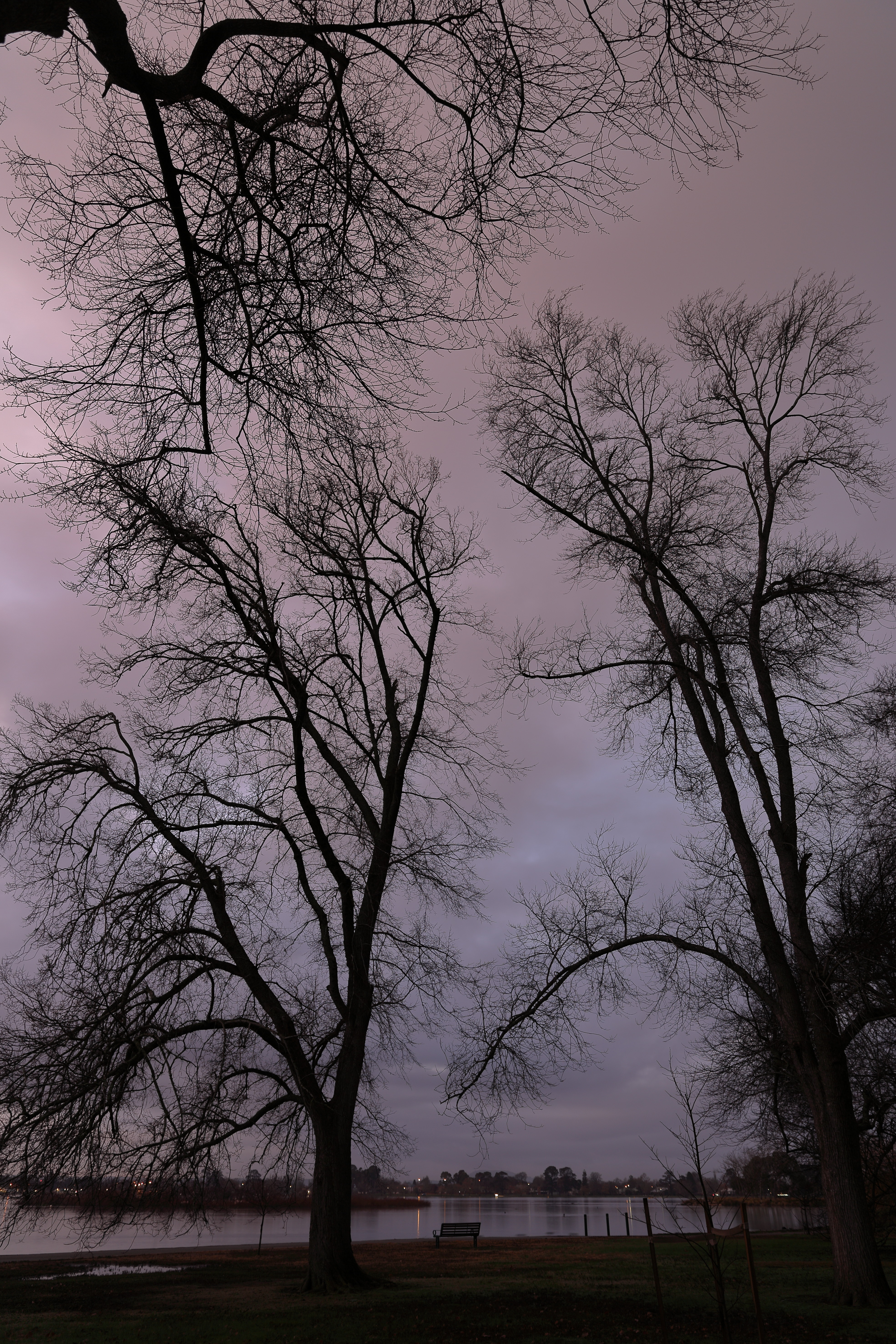 nature, branches, evening, trees 3d Wallpaper