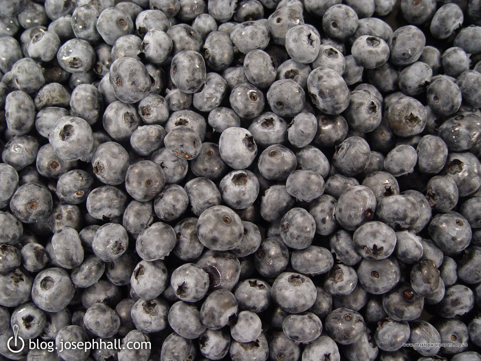 Free Images background, gray, fruits, berries Bilberries