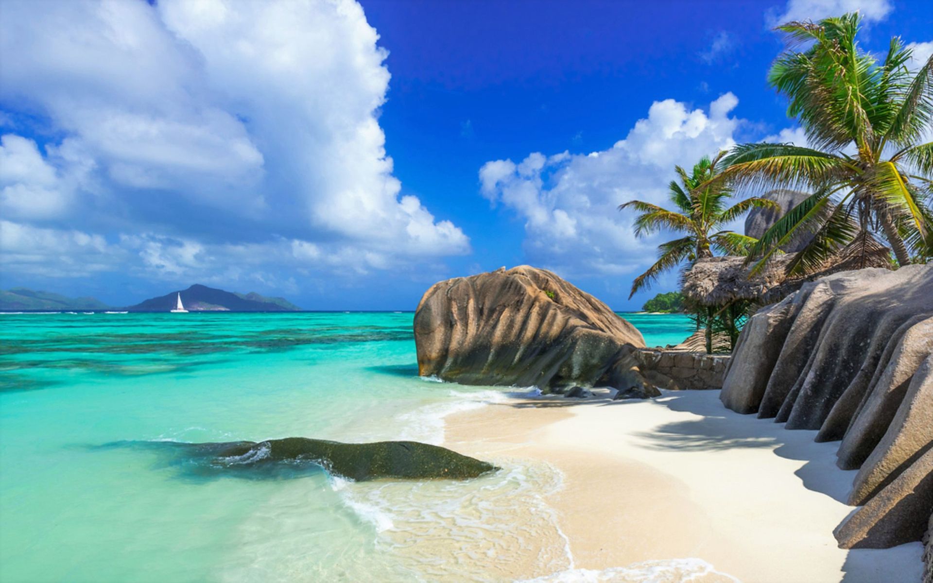 palm tree, sea, seychelles, ocean Island HQ Background Images