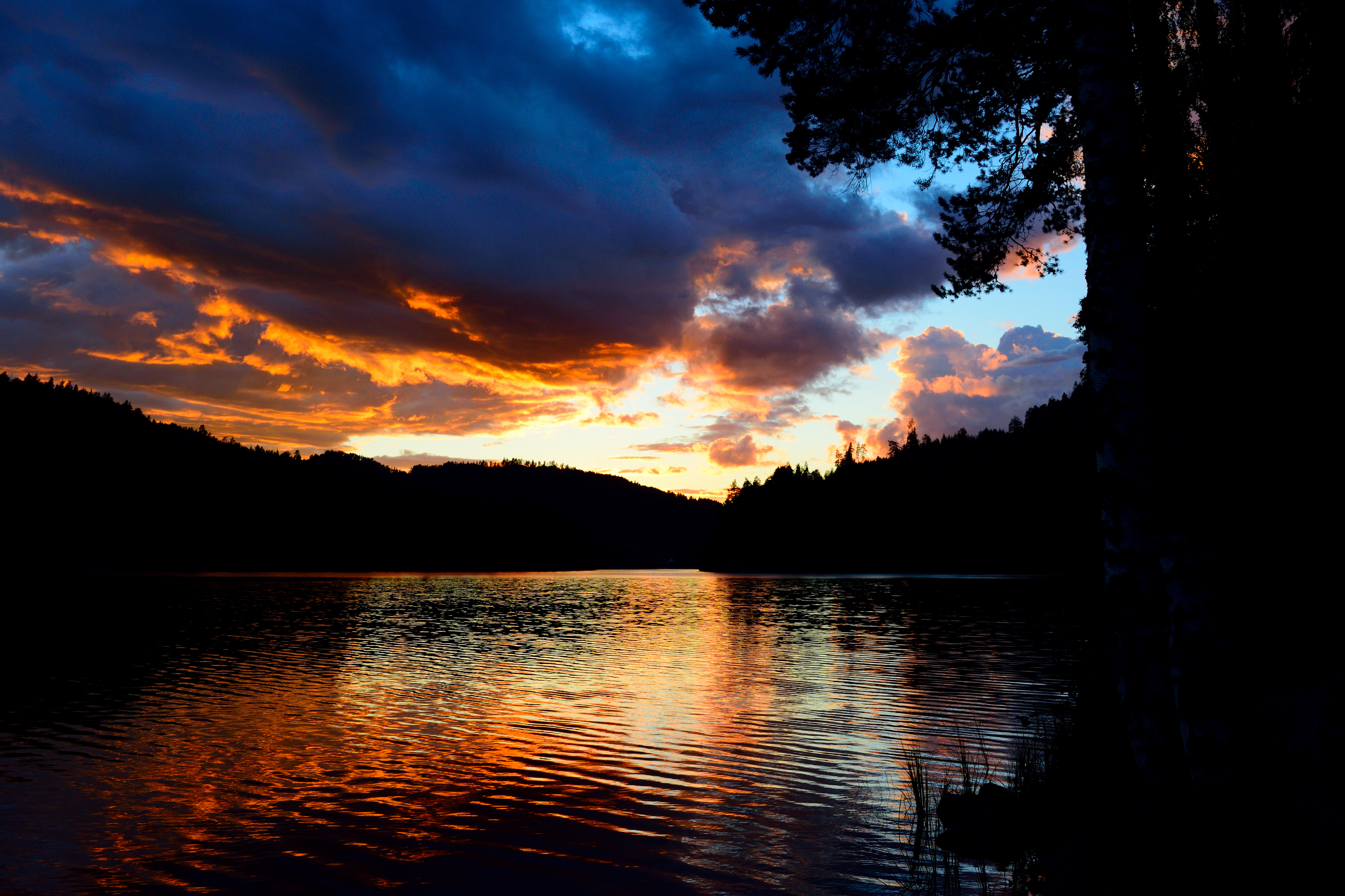 81646 download wallpaper lake, nature, trees, sunset, twilight, glare, dusk screensavers and pictures for free