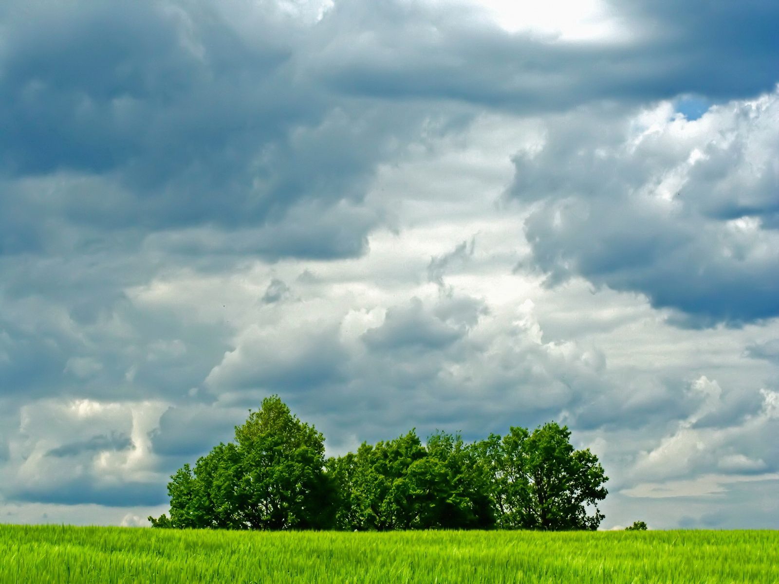 Handy-Wallpaper Natur, Bäume, Sky, Clouds, Sommer, Grüne, Grünen, Feld, Wolken, Wiese kostenlos herunterladen.