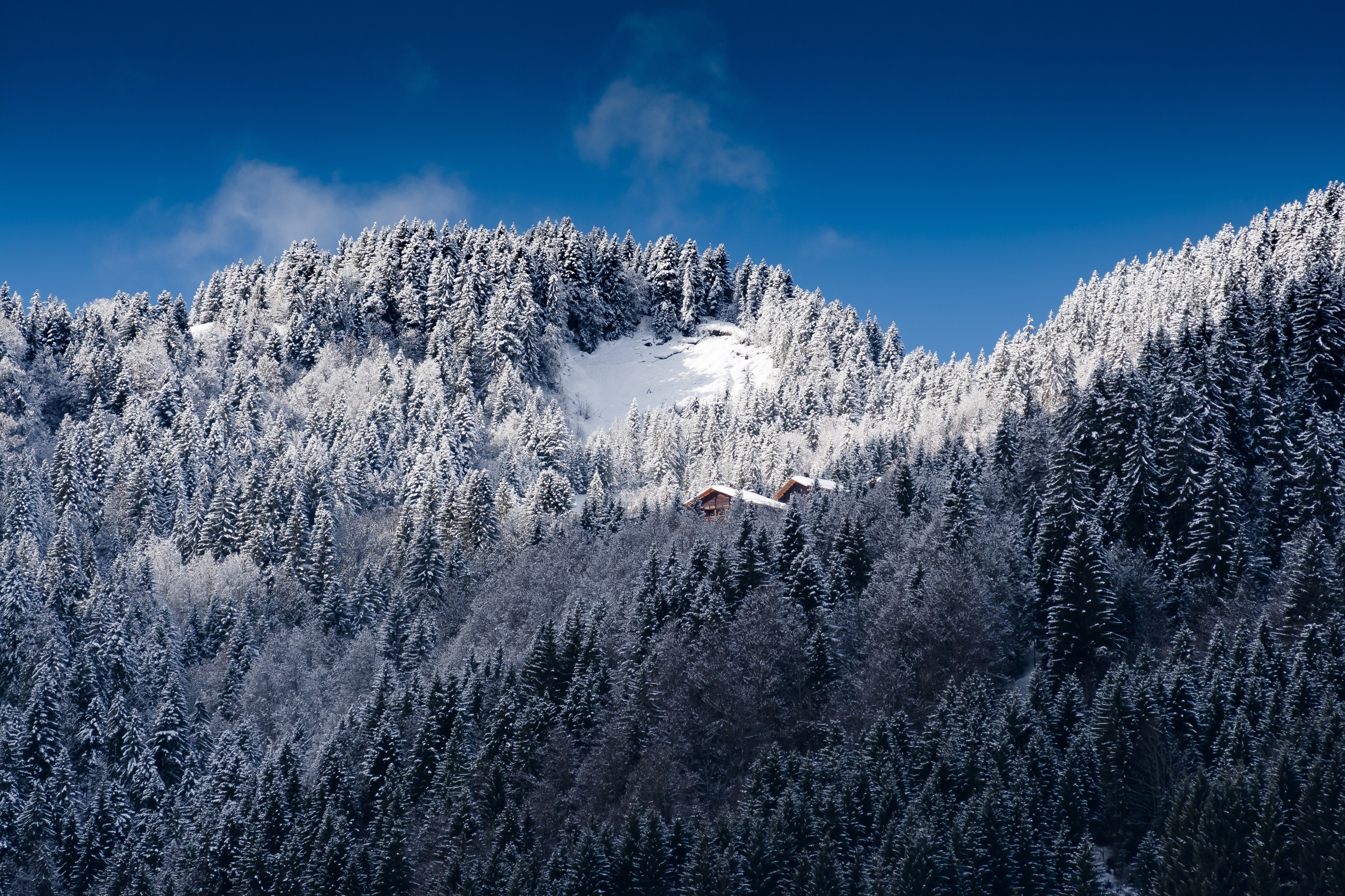 126533 Bildschirmschoner und Hintergrundbilder Alpen auf Ihrem Telefon. Laden Sie natur, bäume, mountains, schnee, alpen Bilder kostenlos herunter
