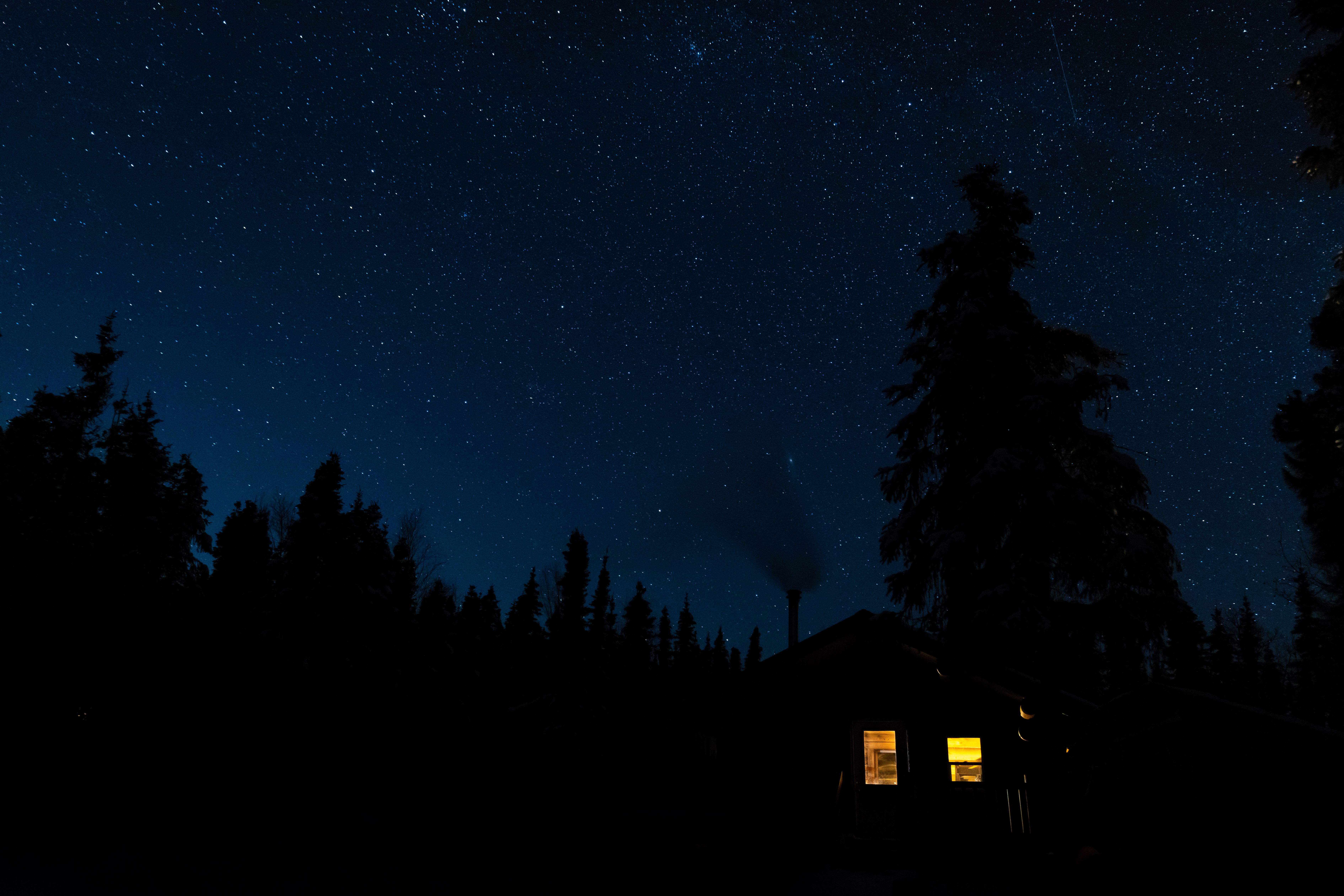 small house, trees, night, dark, shine, light, forest, silhouettes, lodge