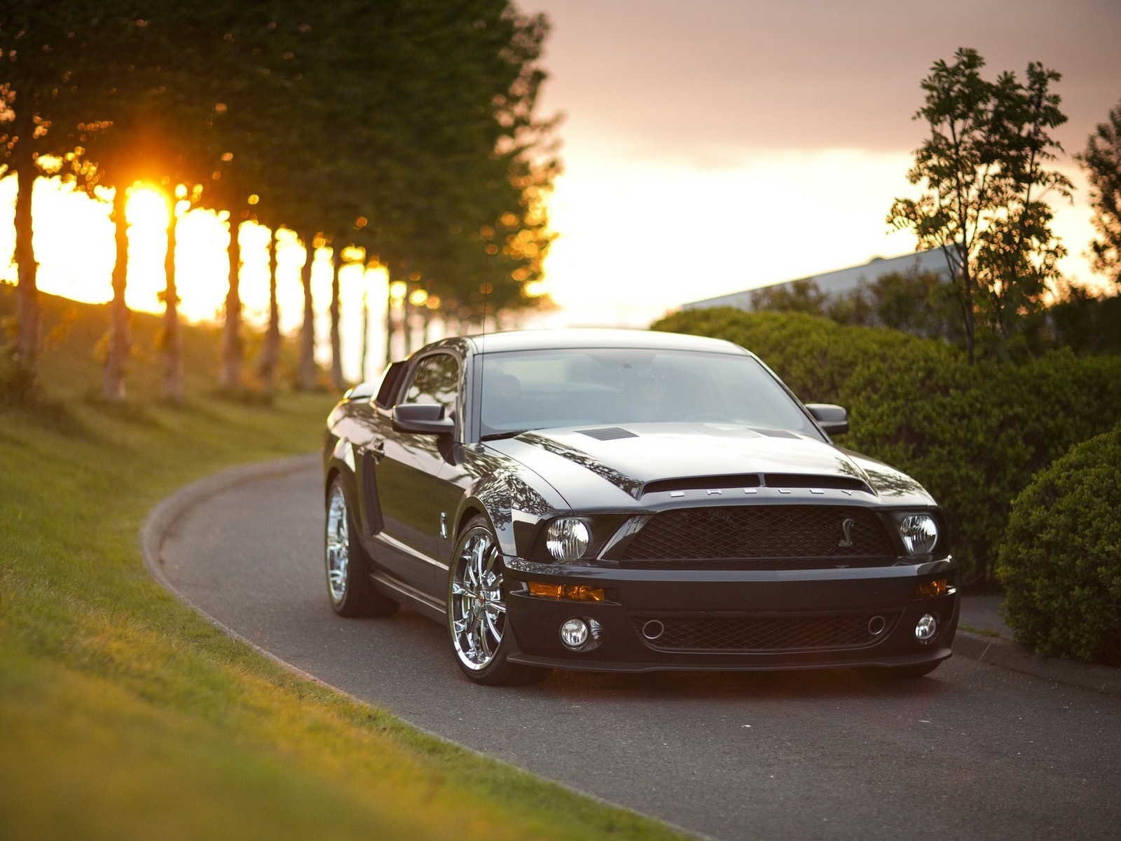 mustang, auto, ford home screen for smartphone