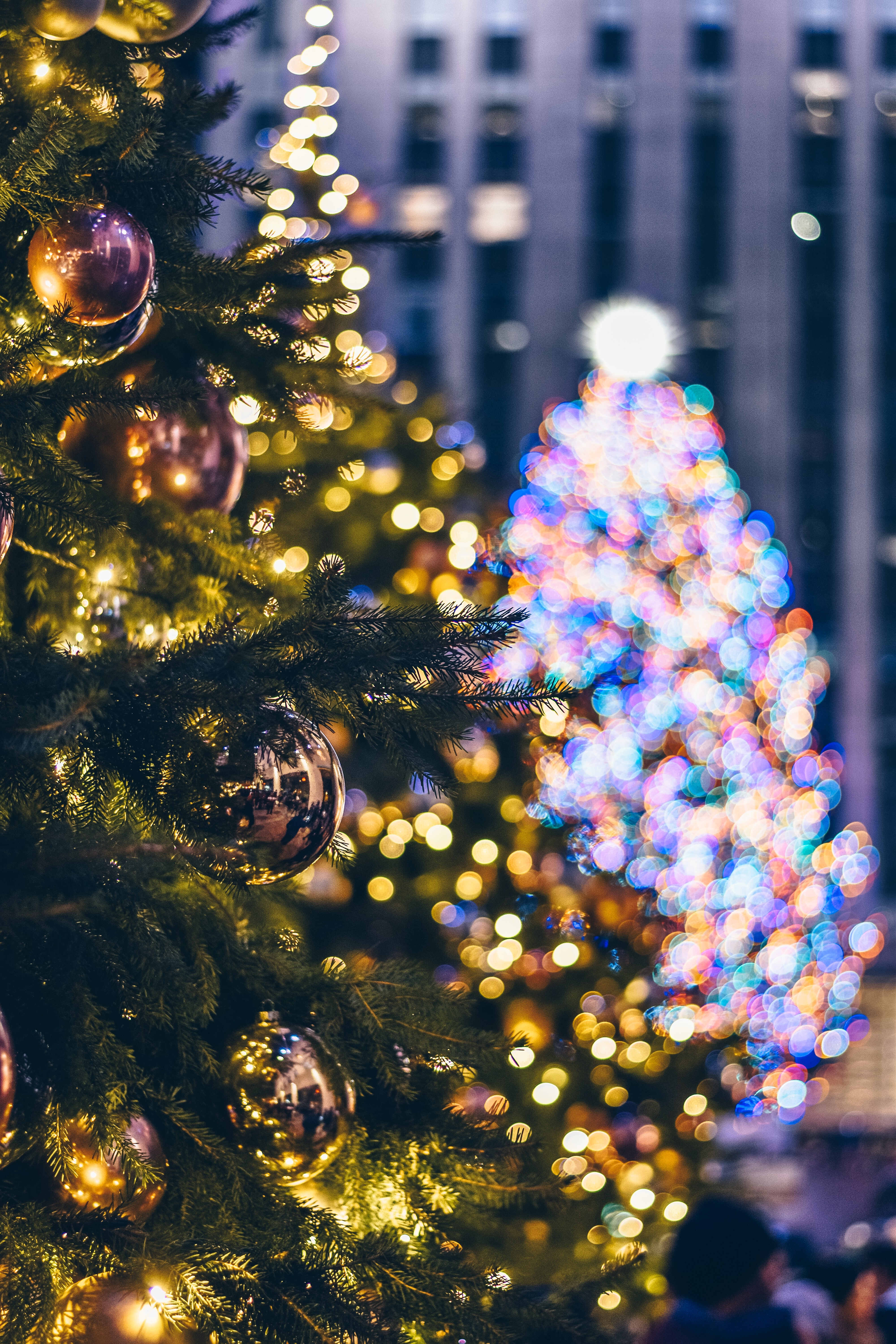 vertical wallpaper christmas, holidays, new year, decorations, lights, christmas tree, garland, garlands