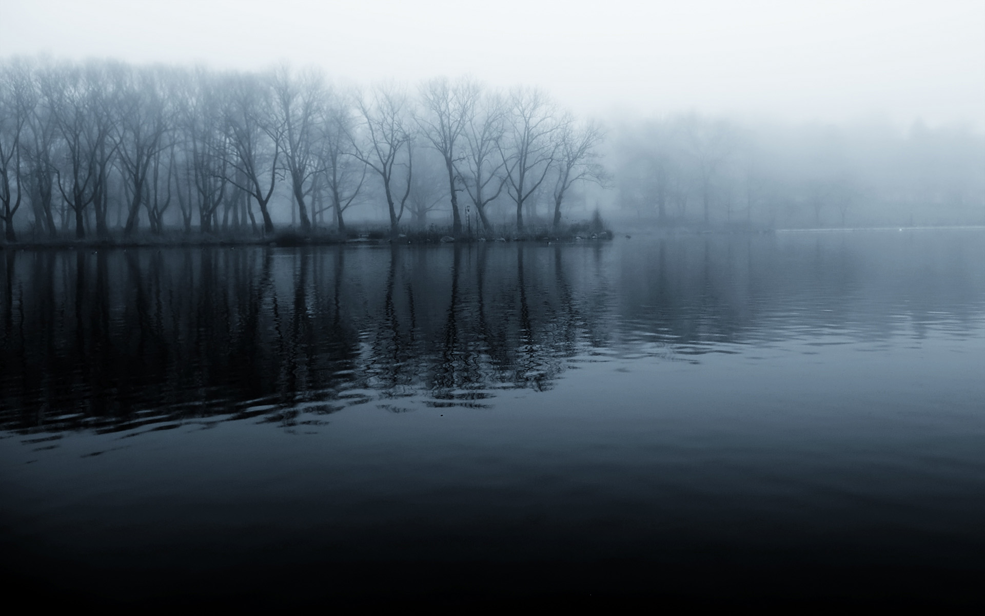 fog, tree, reflection, landscape Lake Full HD Wallpaper