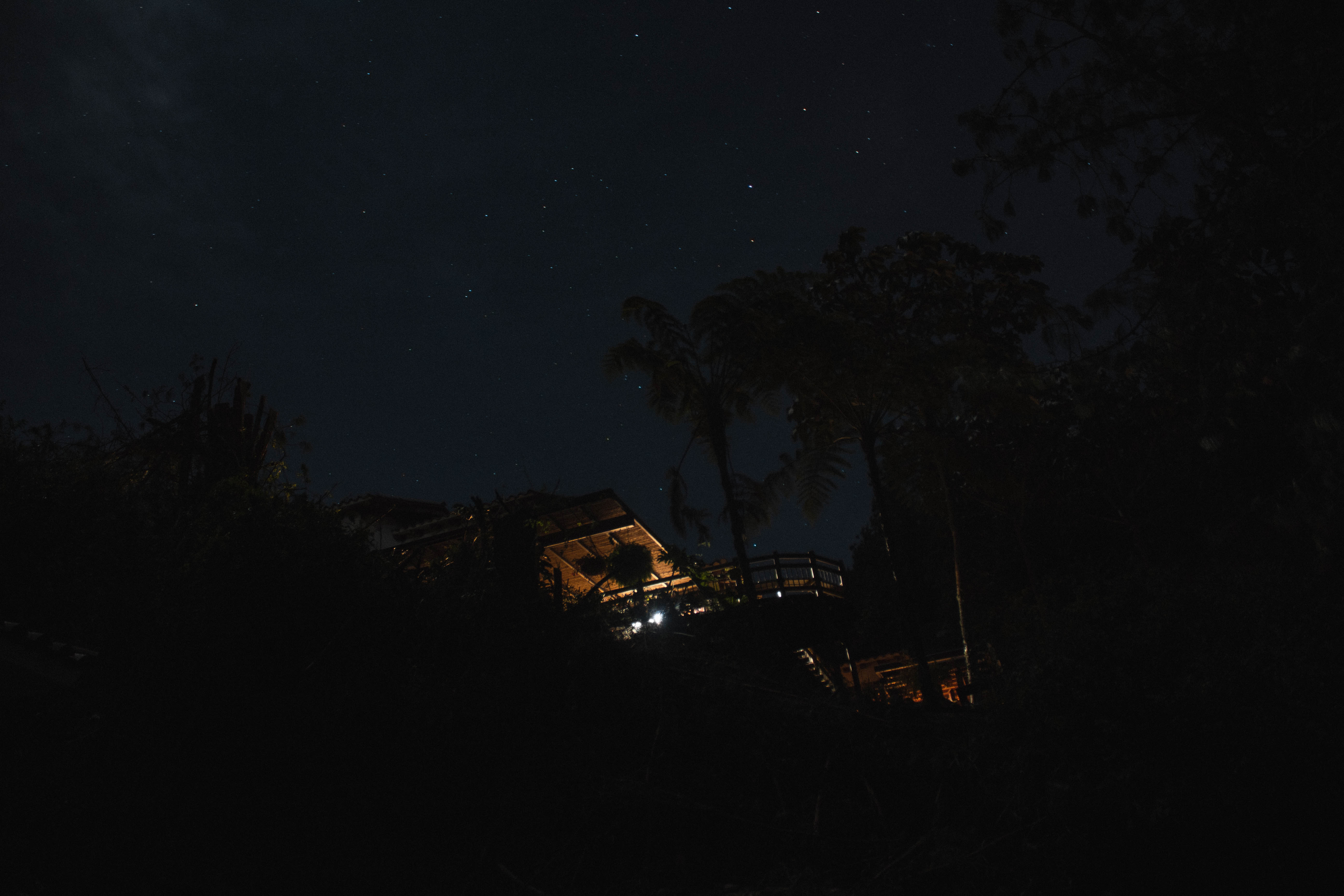 night, palms, starry sky, dark House Cellphone FHD pic