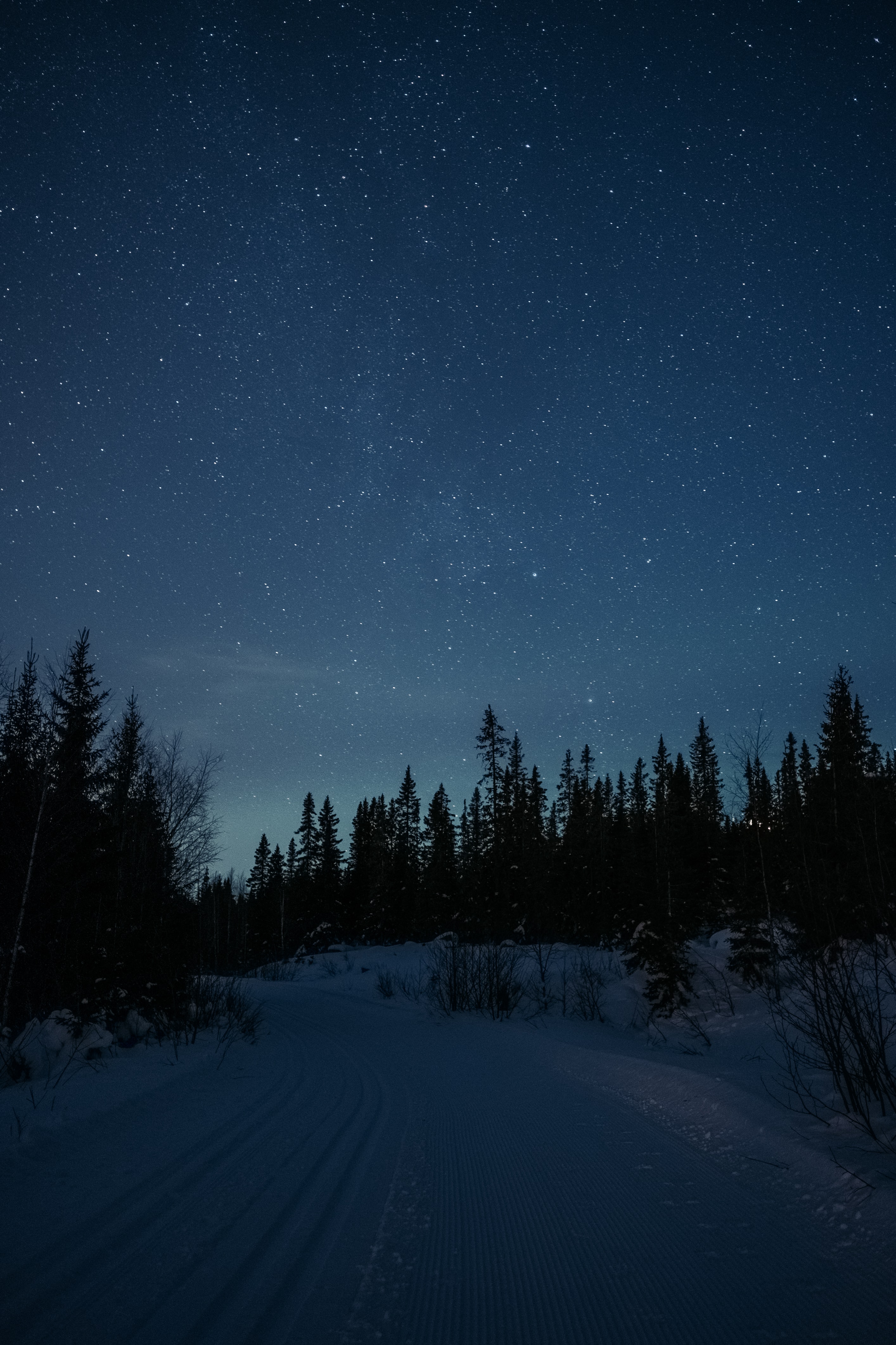 Download mobile wallpaper Night, Winter, Nature, Stars, Snow, Road, Forest for free.