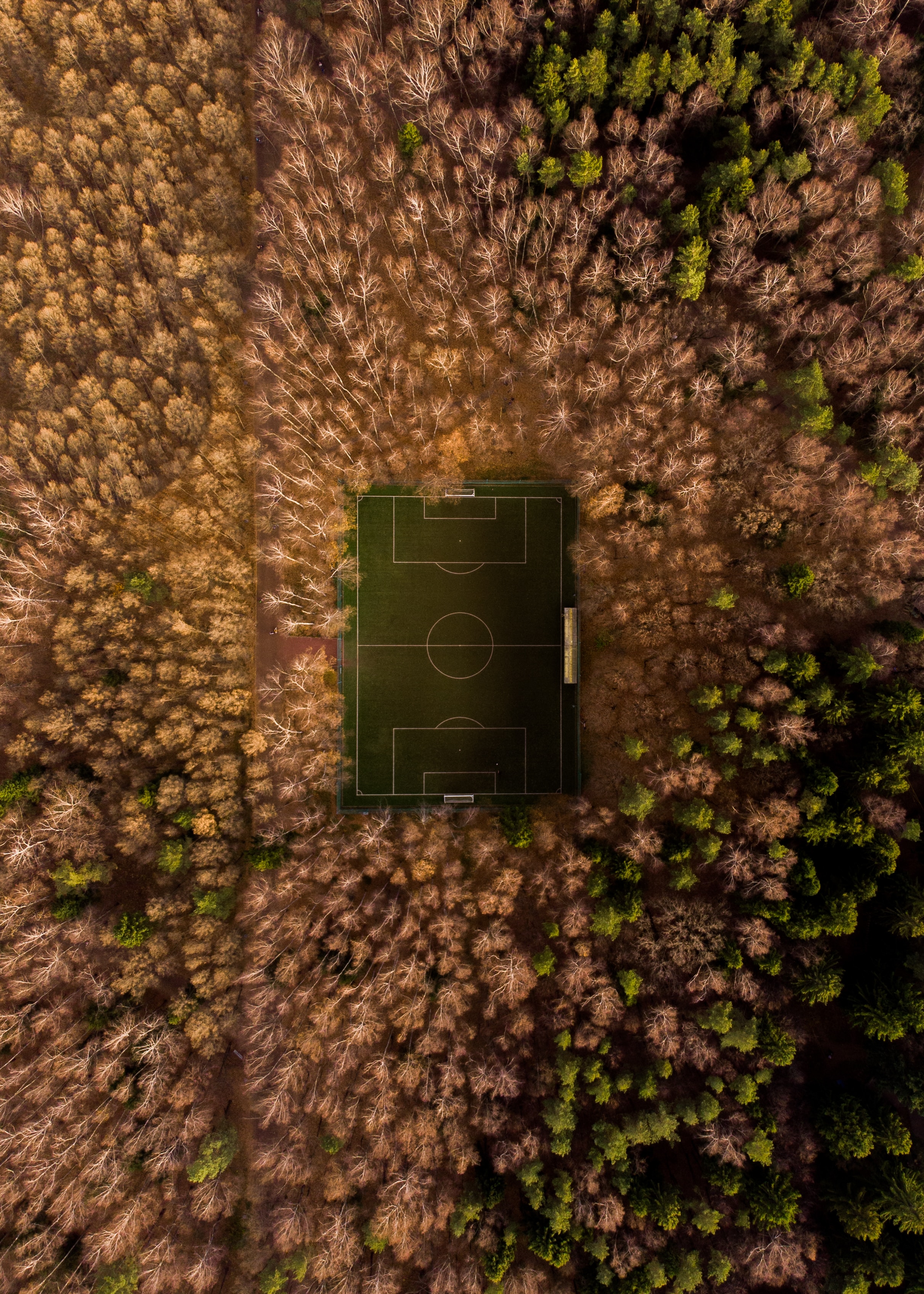 football field, nature, trees, view from above, playground, platform, overview, review