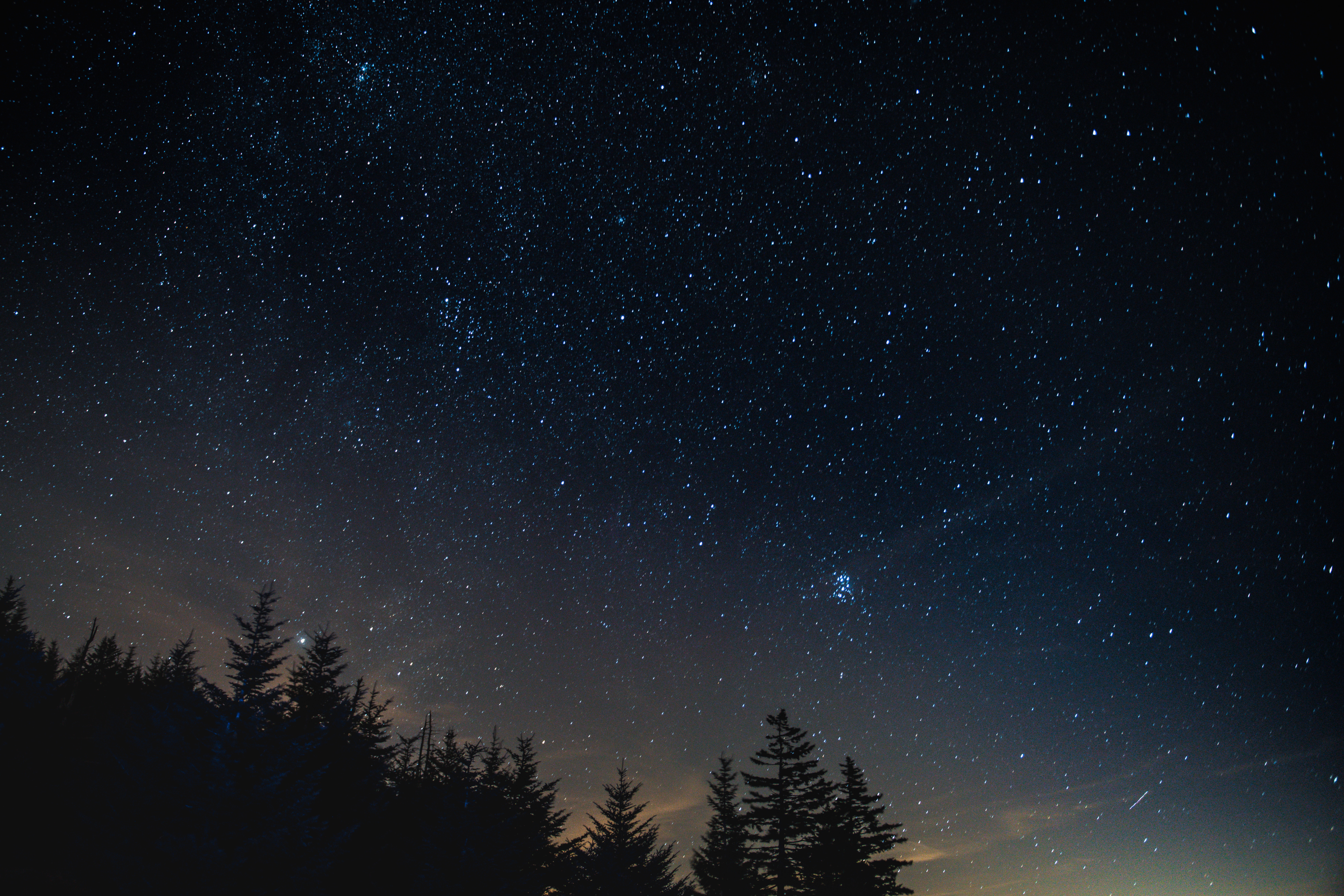 Download mobile wallpaper Starry Sky, Night, Nature, Trees, Night Landscape, Nightscape for free.