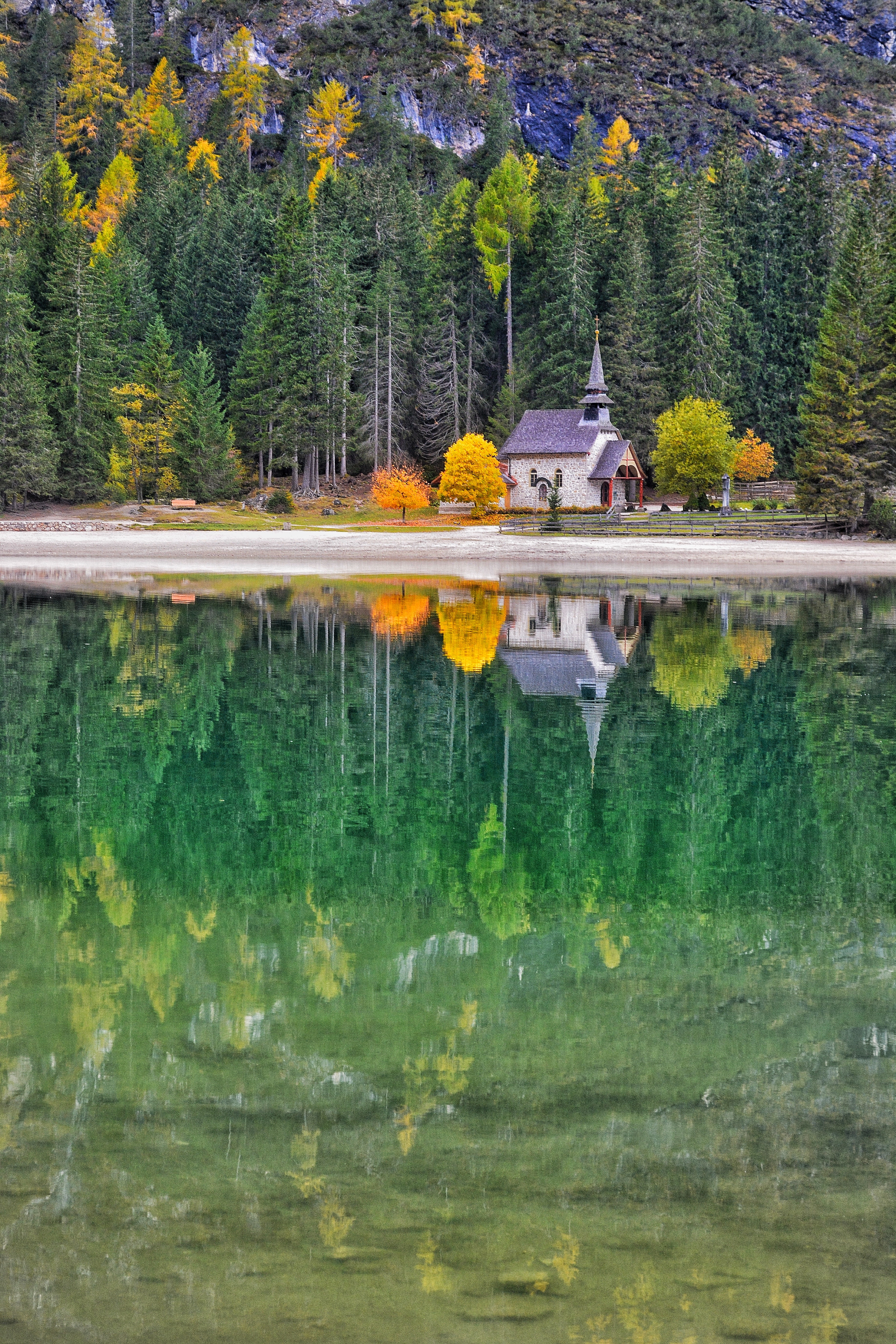 Smartphone Background reflection, autumn, trees, nature