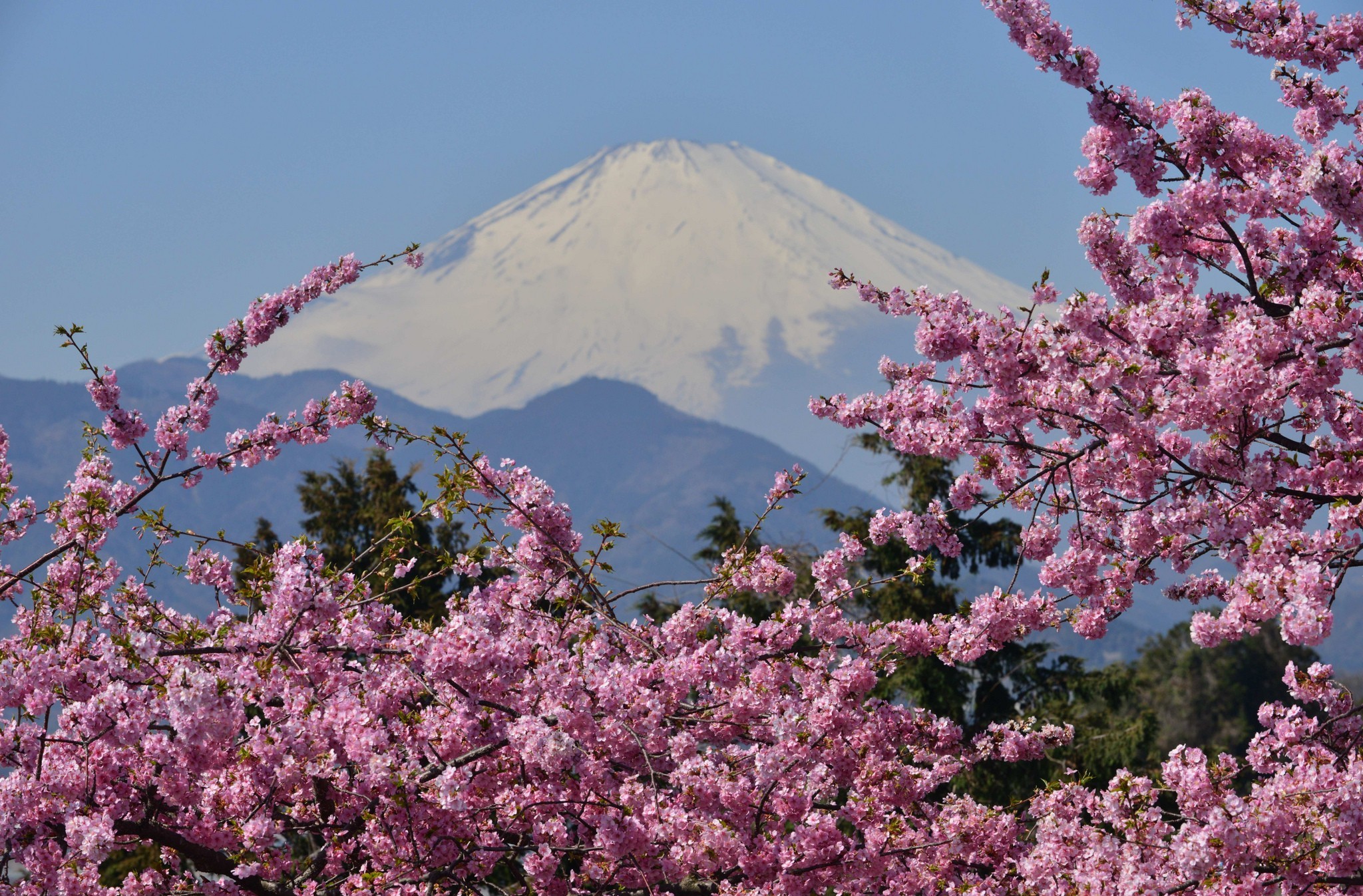 お使いの携帯電話の344724スクリーンセーバーと壁紙富士山。 の写真を無料でダウンロード