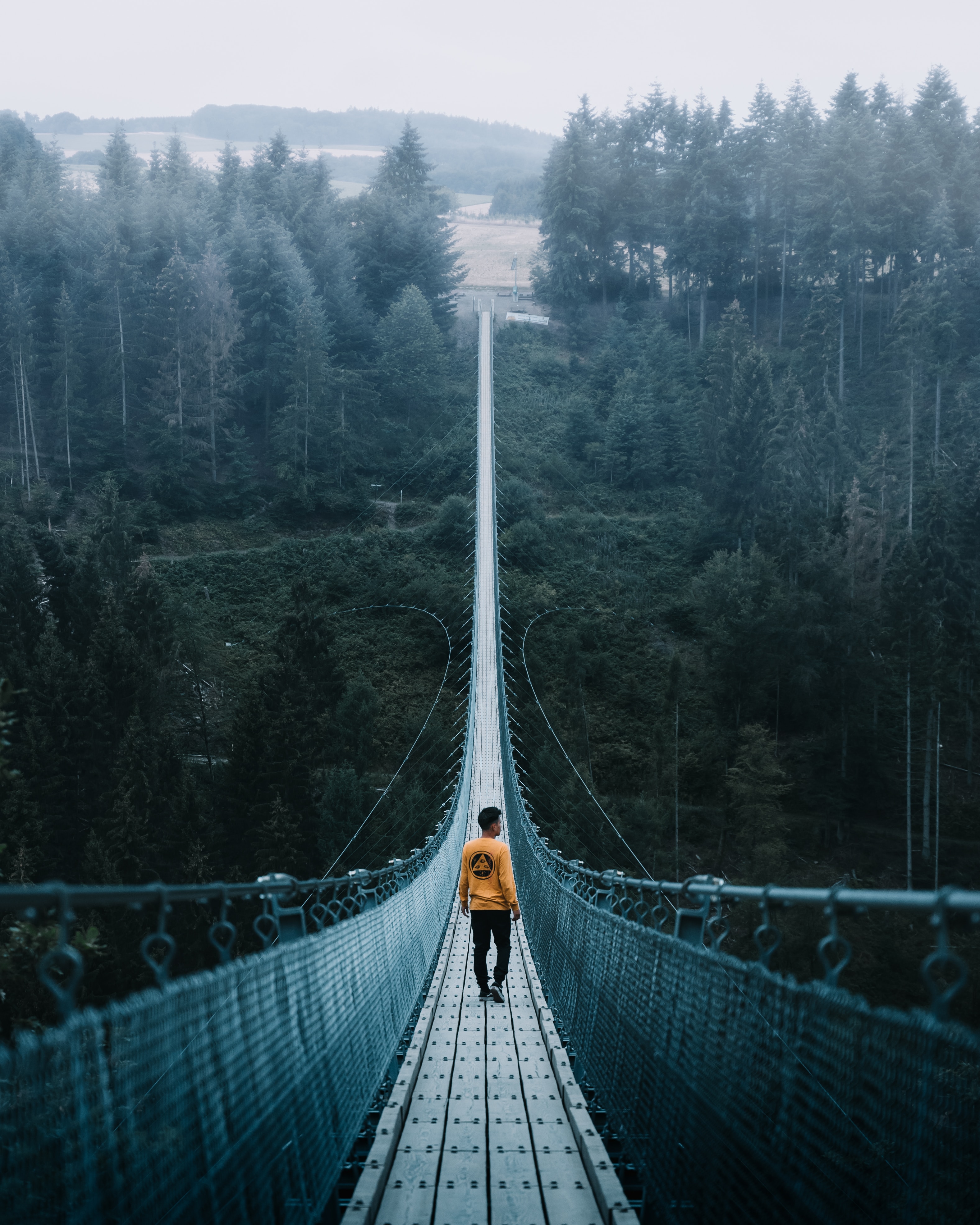 nature, rope bridge, loneliness, cable bridge Person HQ Background Images