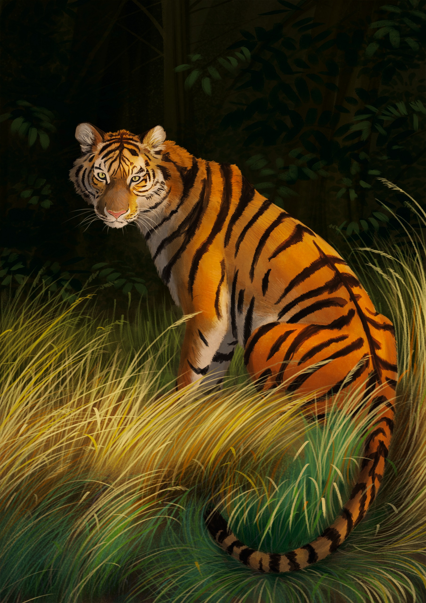 Tiger art, predator, grass, striped 8k Backgrounds
