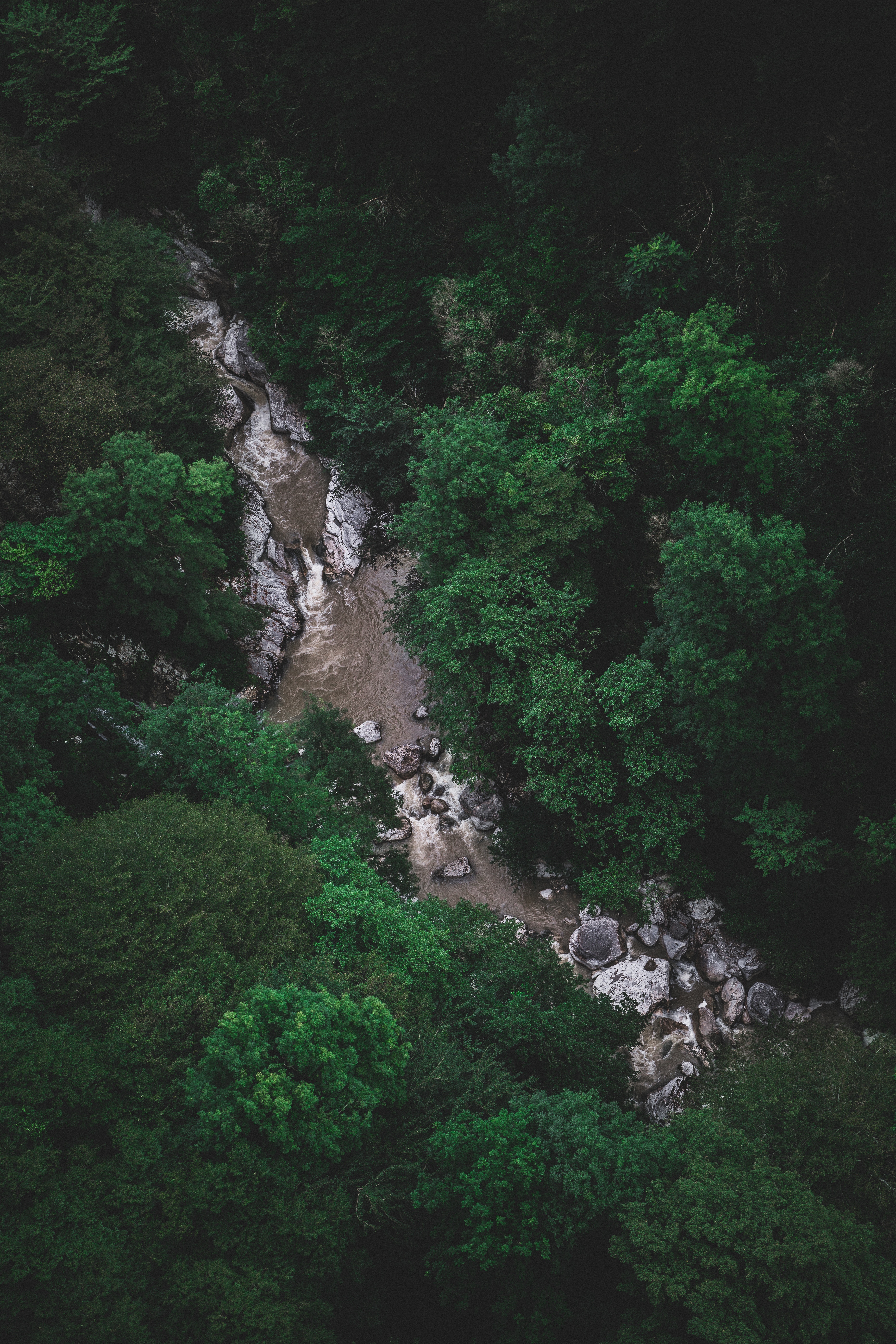 stones, nature, rivers, trees, view from above, flow HD wallpaper