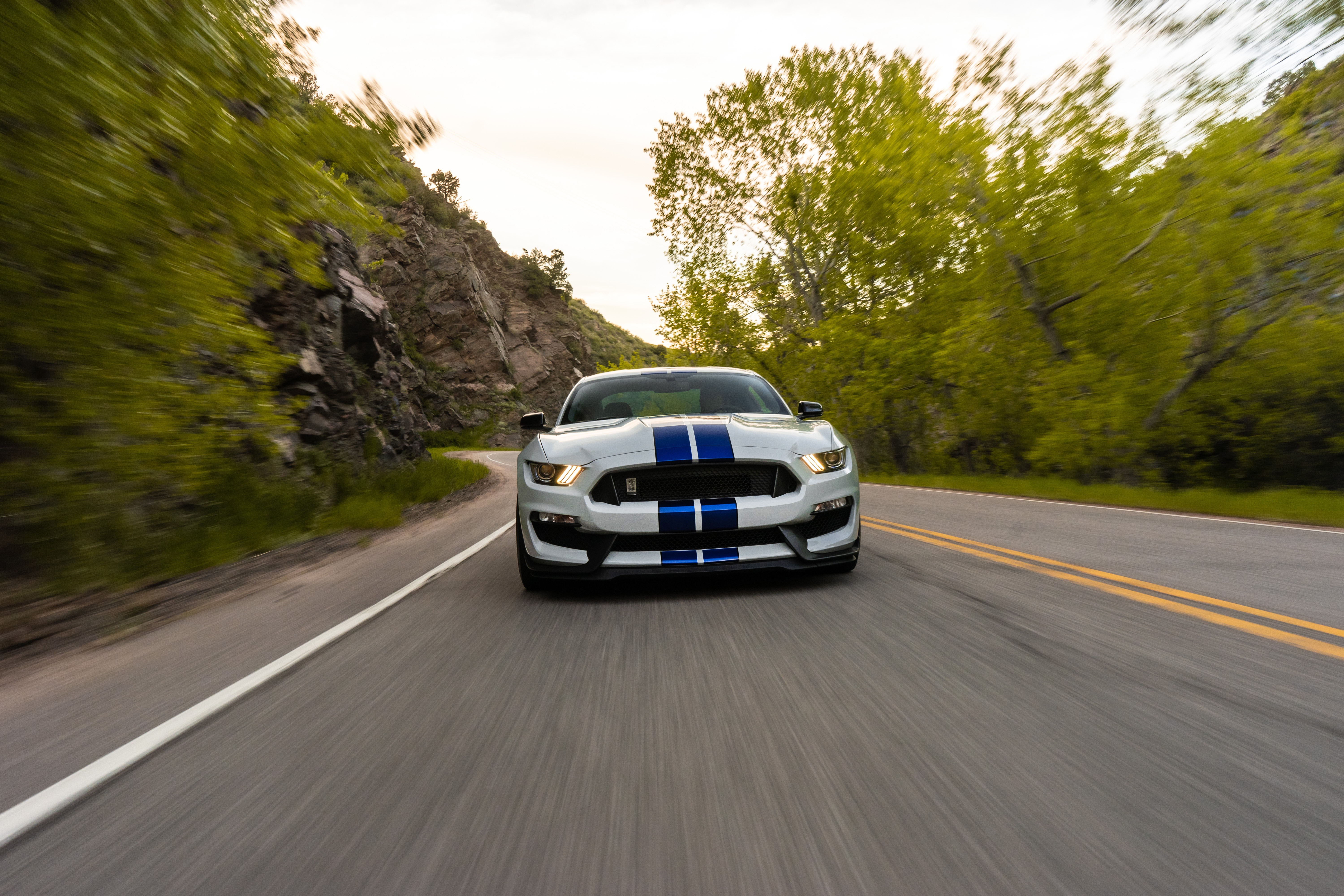 cars, sports car, ford mustang gt350, car, sports, ford, road, machine, speed iphone wallpaper