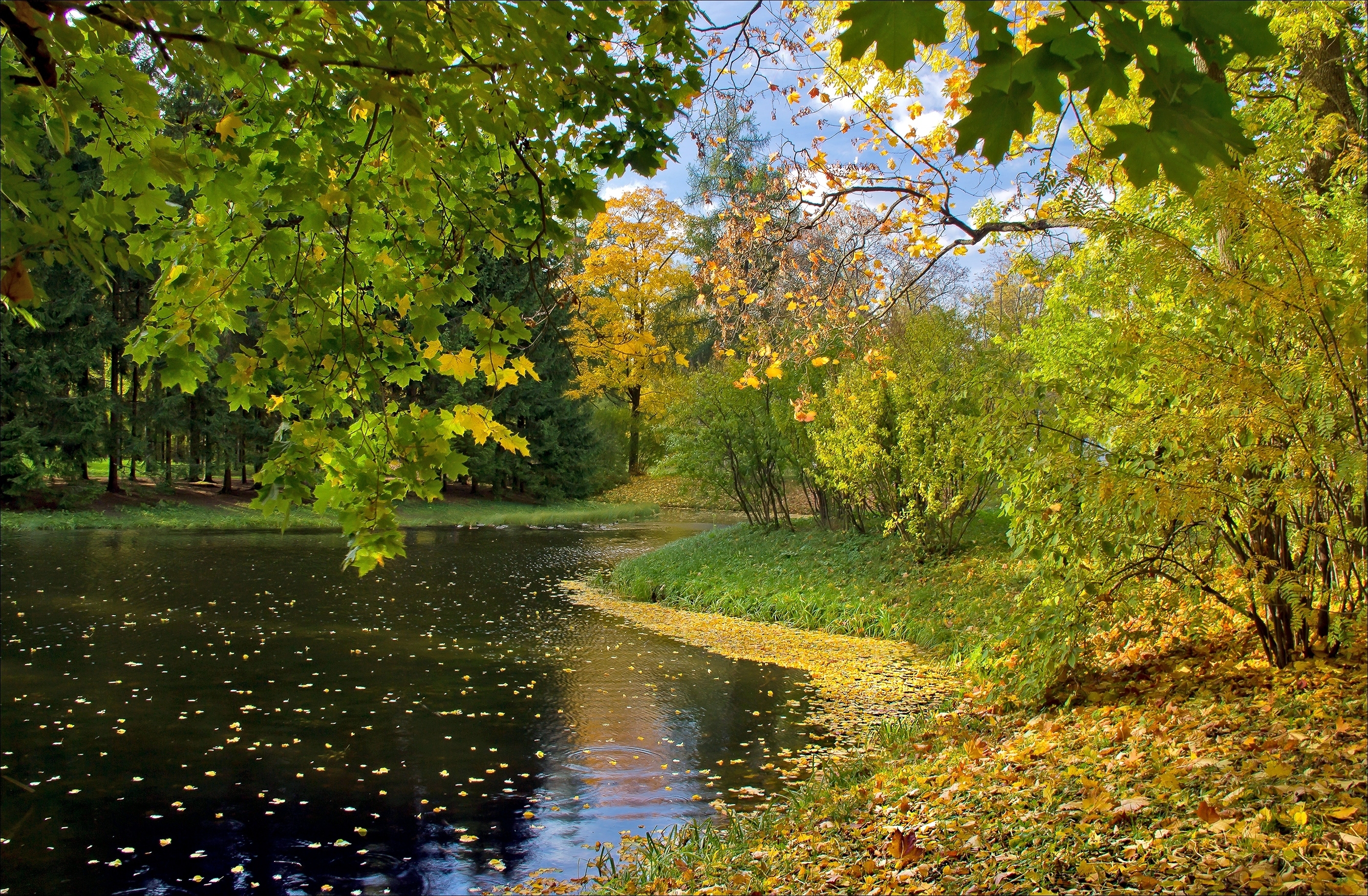 59706 скачать обои осень, листья, озеро, природа - заставки и картинки бесплатно