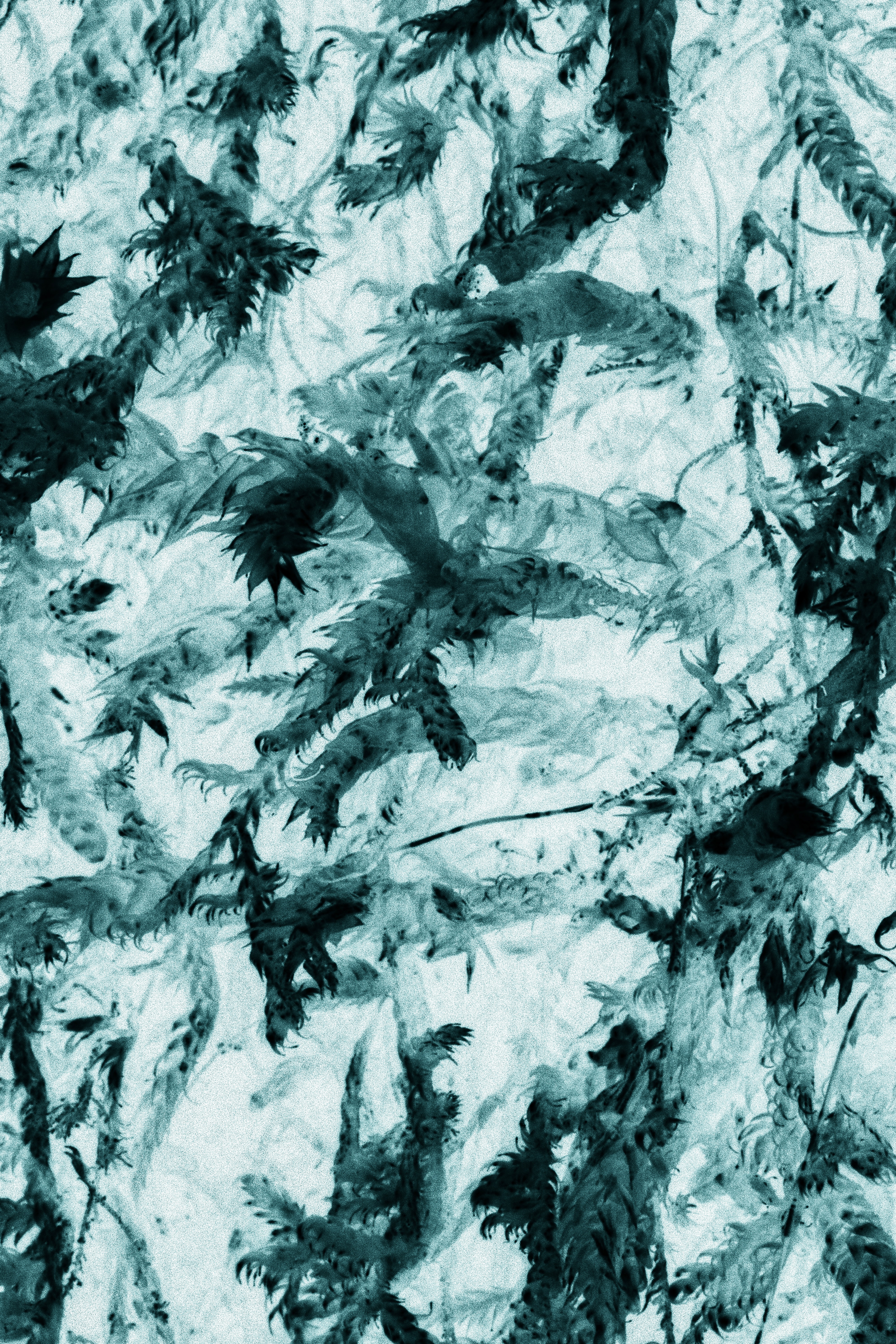 ice, texture, macro HD Background